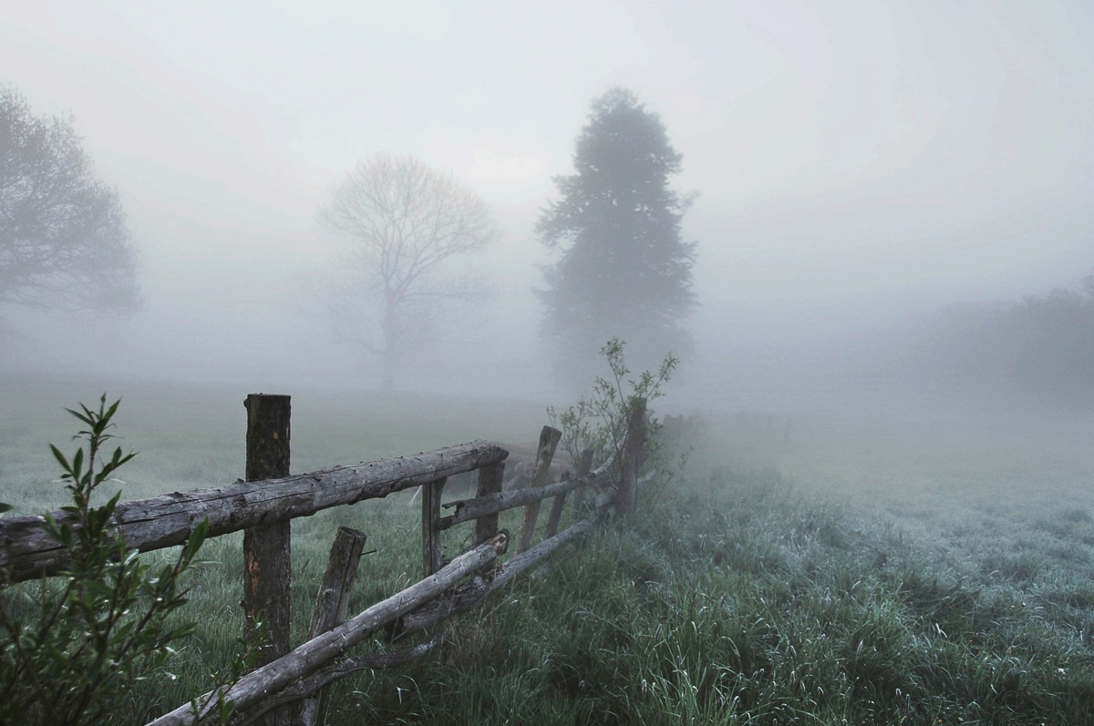 Papermoon Papier peint photo »Nebliges Feld«