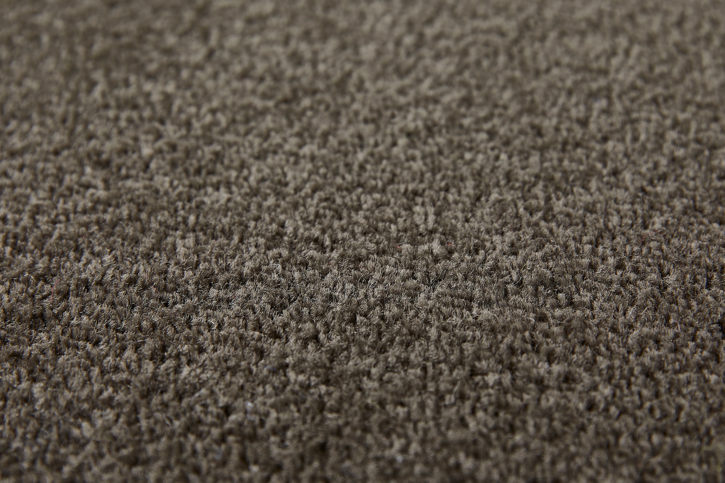 my home Teppichboden »Isabella, Velours, Made in Netherlands« rechteckig 8,5 mm Höhe Breite 400 cm, Uni Farben, weich, pflegeleicht, strapazierfähig