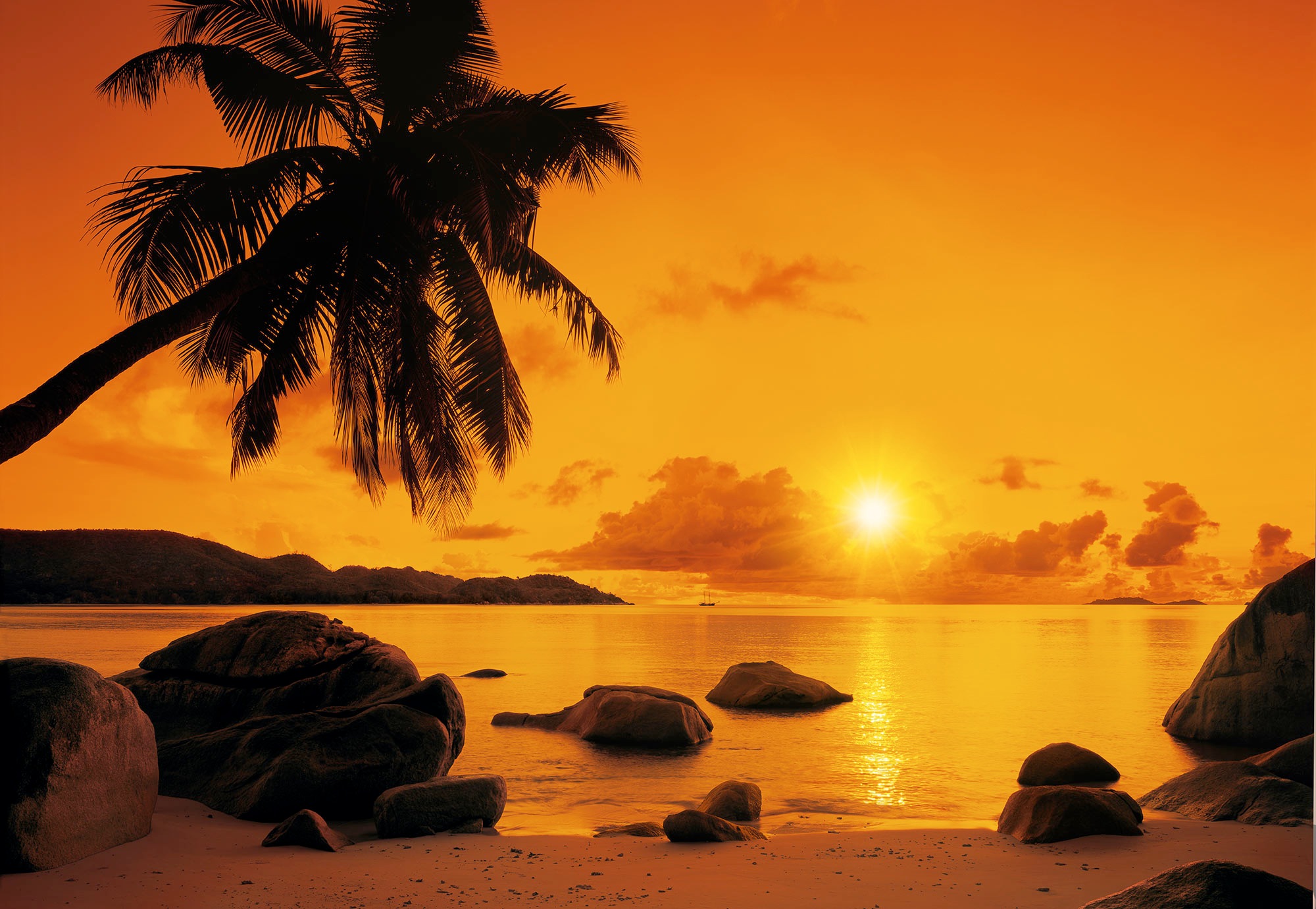 Komar Fototapete »Papier Fototapete - Sunset - Grösse 368 x 254 cm« Motiv | bedruckt glatt