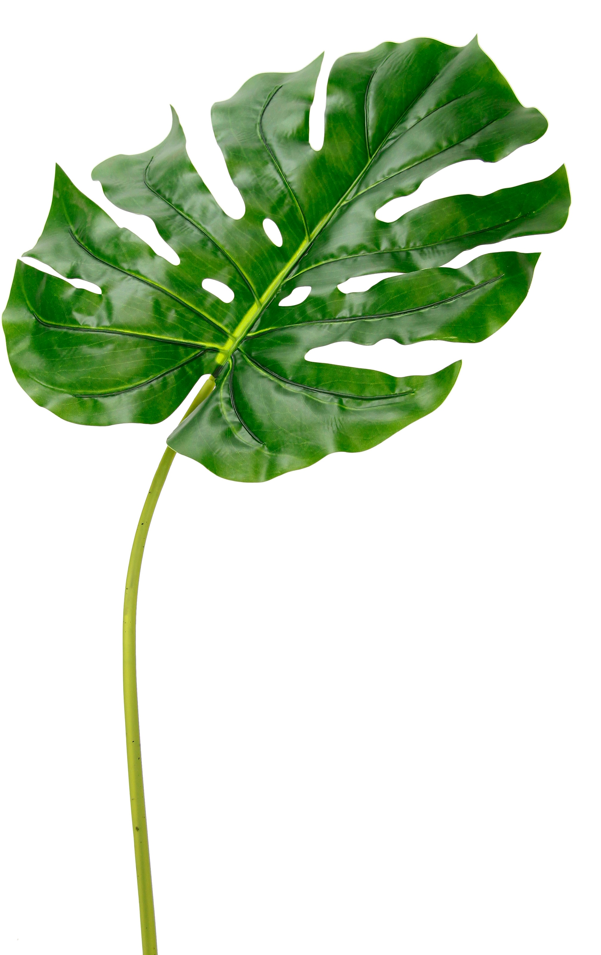 I.GE.A. Plante artificielle »Splitphiloblatt« Monstera, Kunstzweig, 5er Set