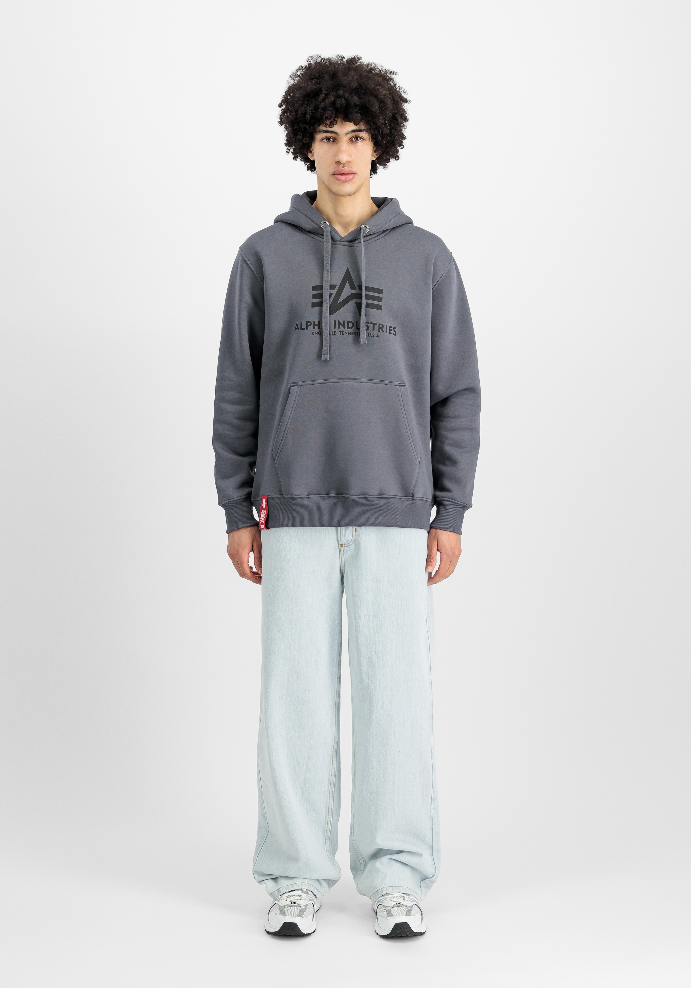 Alpha Industries Kapuzensweatshirt »Basic Hoody«, Baumwollmischung, regular fit
