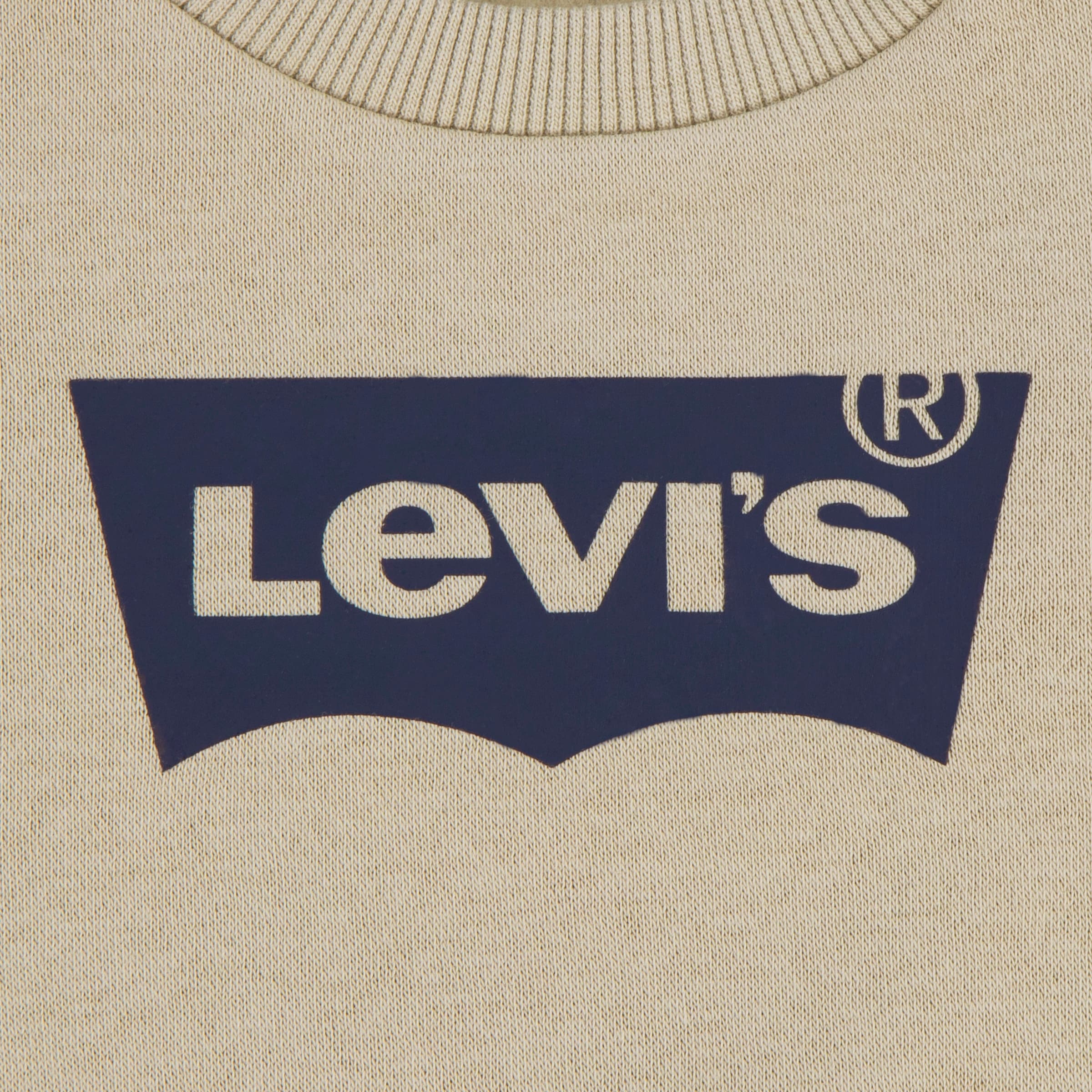 Levi's® Kids Sweatshirt »LVB LVB FRENCH TERRY BATWING«, BABY UNISEX
