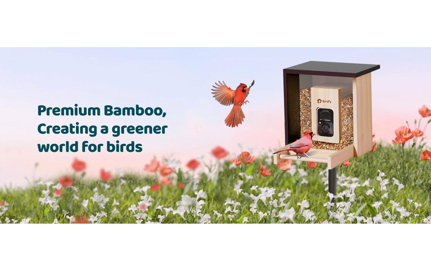 Birdfy Distributeur de nourriture »FSC Bambus Mini Solar«