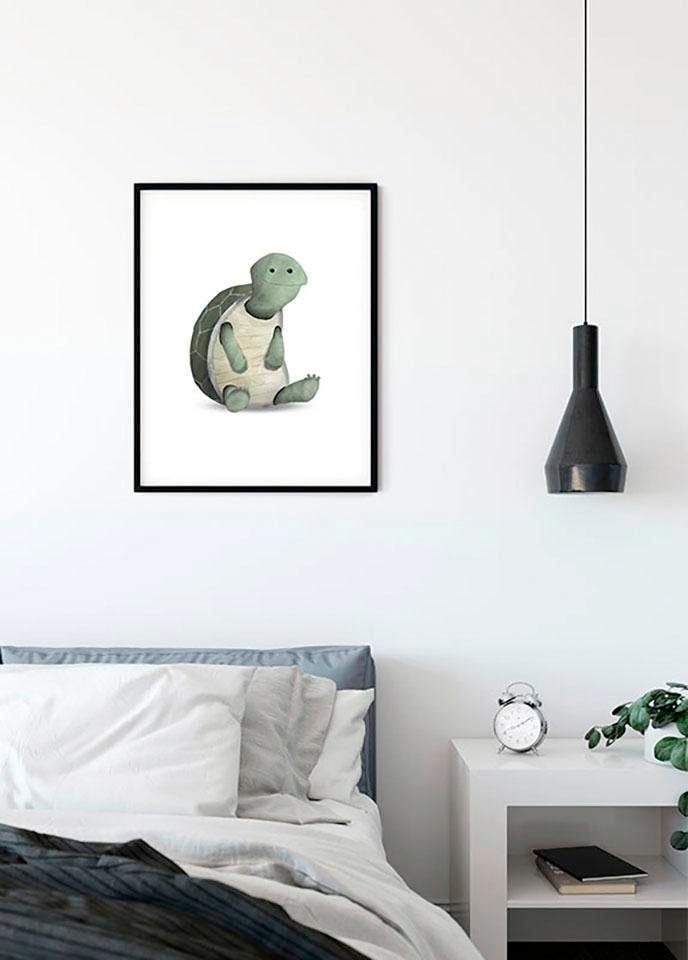 Komar Image »Cute Animal Turtle« 1 cuis tlg. Wandbild zur Dekoration - ohne Rahmen