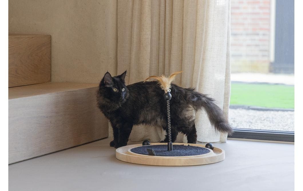 Designed By Lotte Rail de jeu pour chats »Idah«