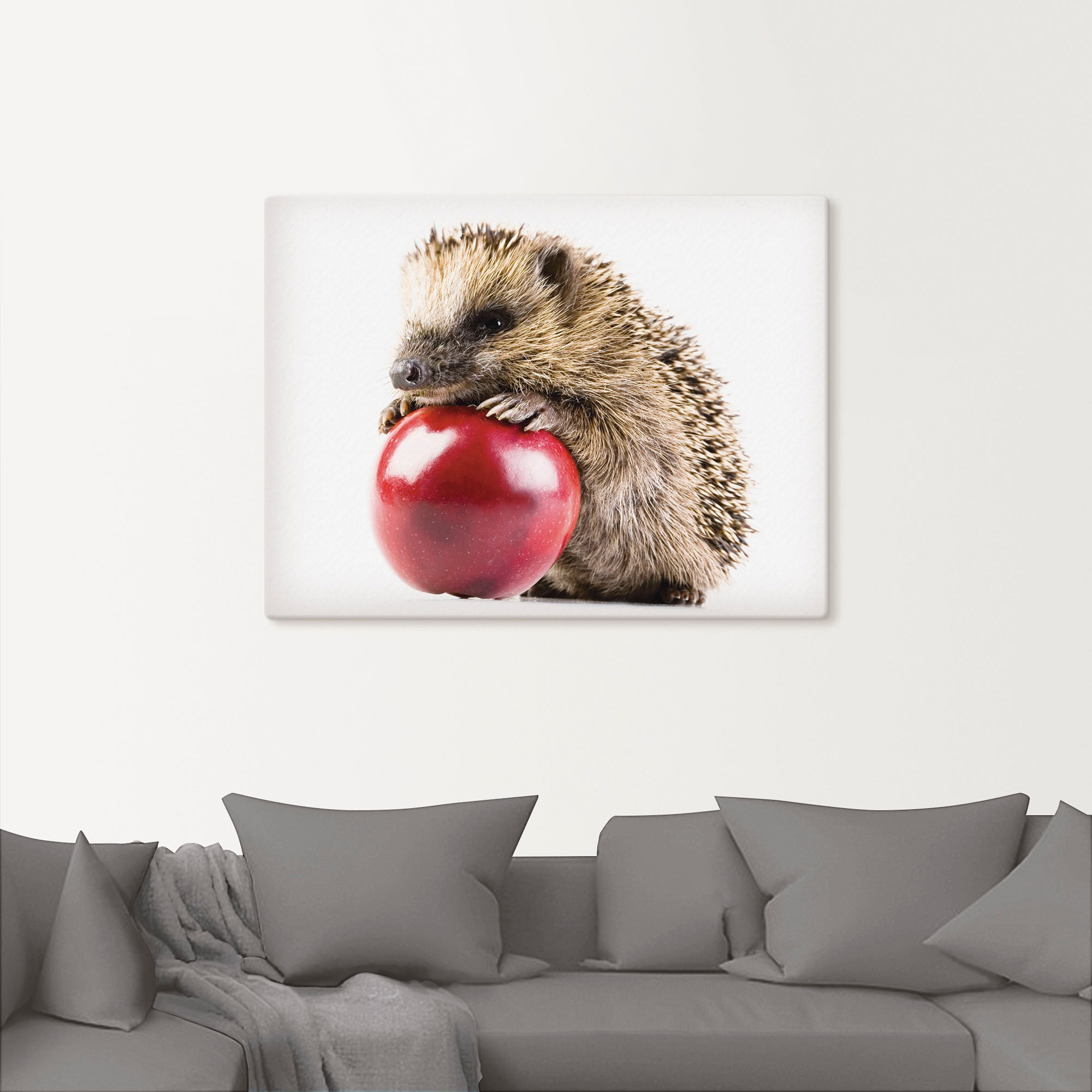Artland Leinwandbild »Glücklicher Igel« Wildtiere 1 Stk. tlg. auf Holzrahmen gespannt