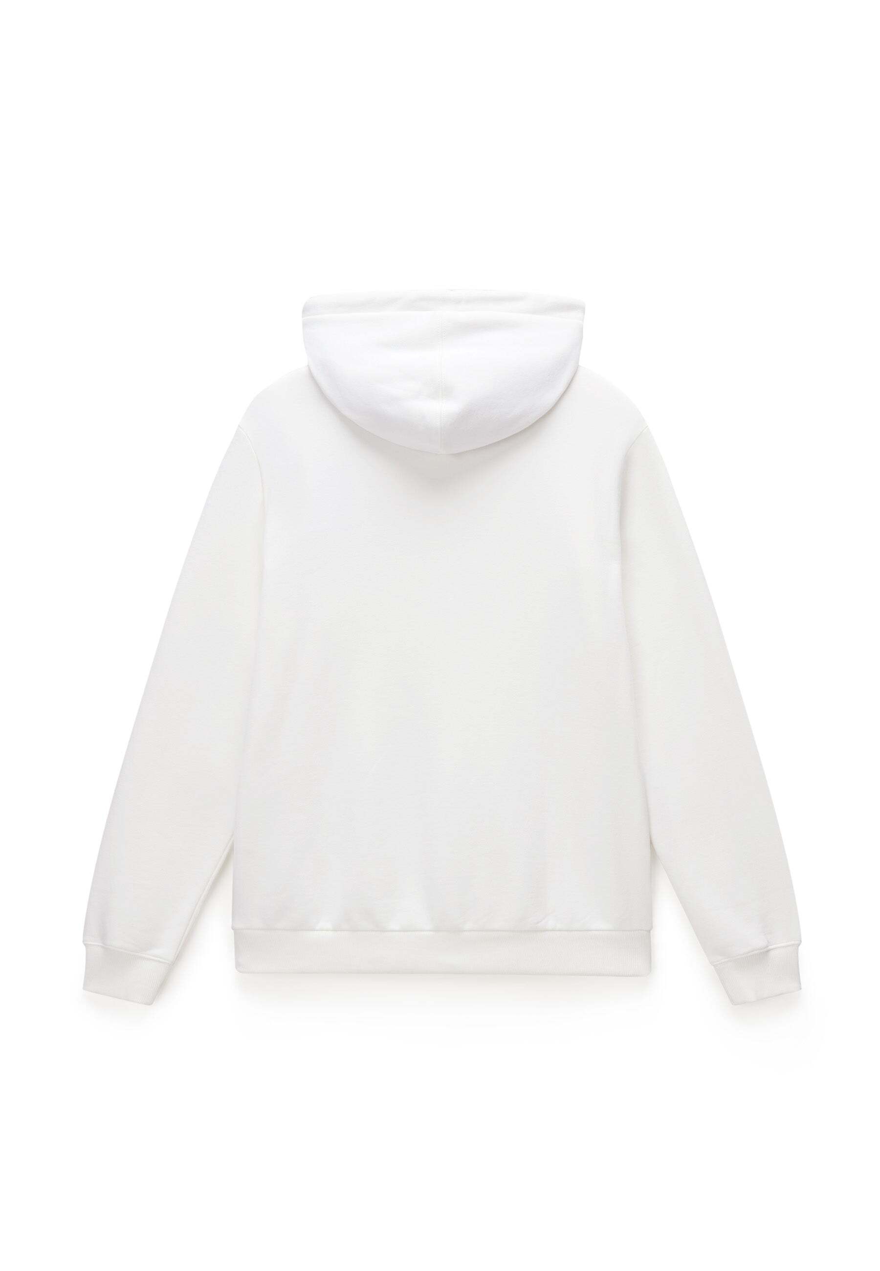Napapijri Kapuzenpullover »Napapijri Kapuzenpullover BURGEE WINT 4«