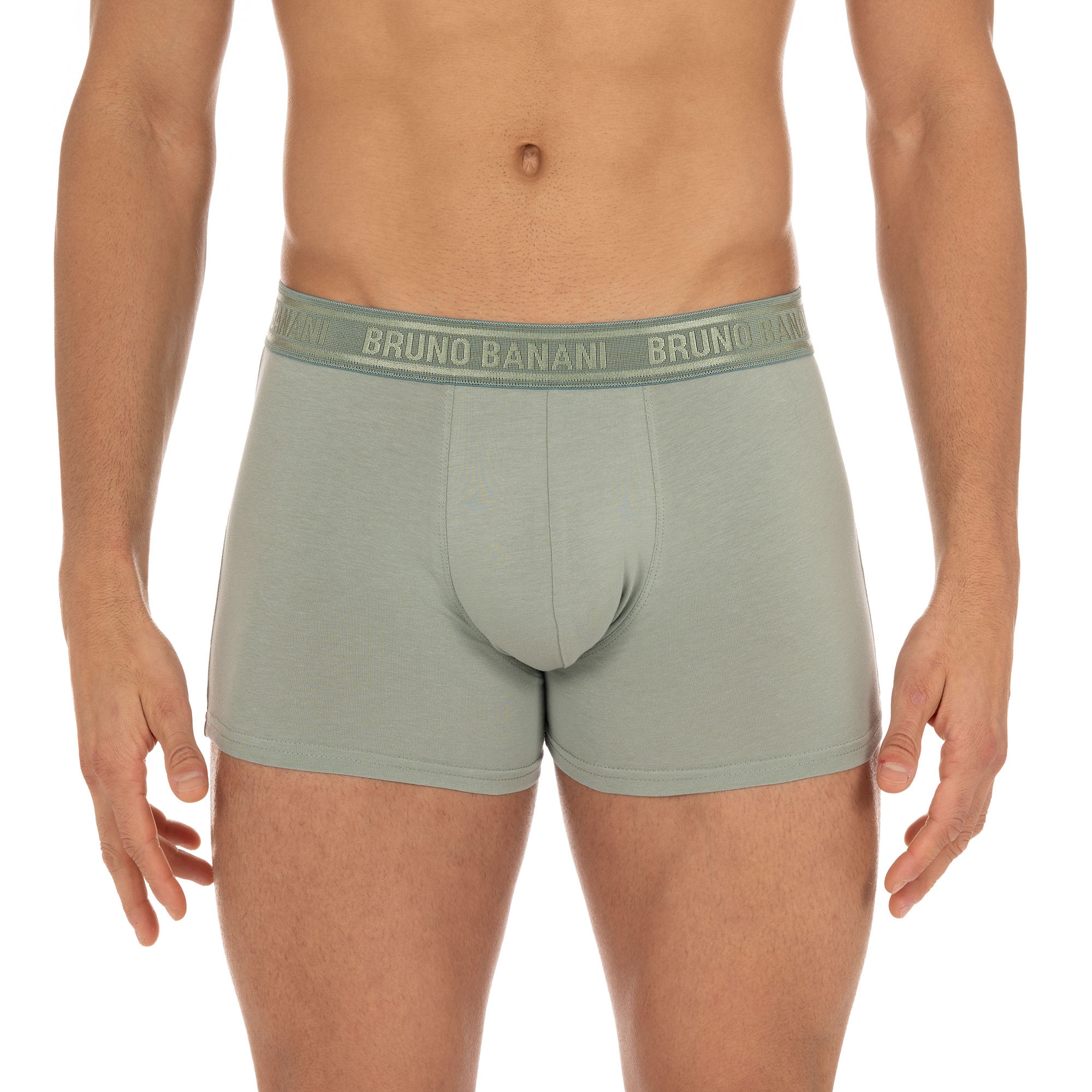 Bruno Banani Boxer »Foliage«