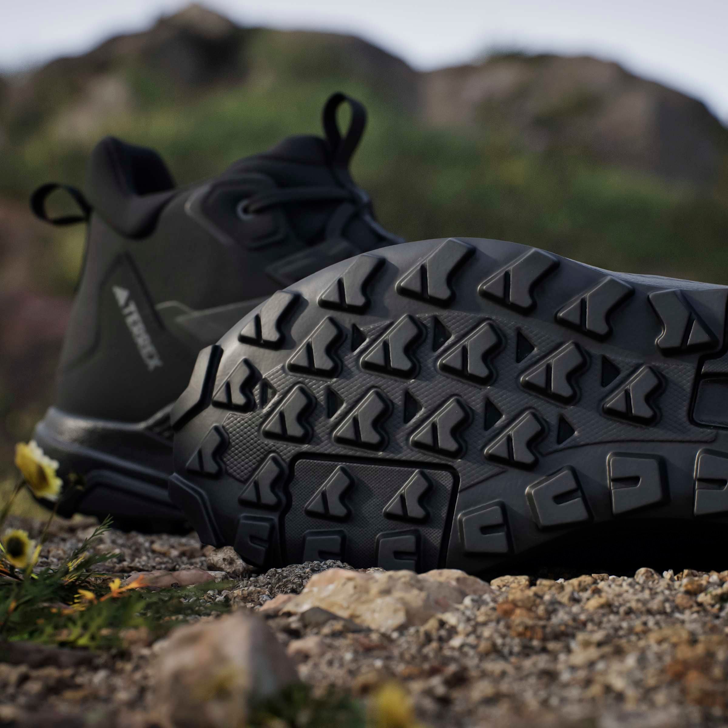 adidas TERREX Chaussure de randonnée »TERREX ANYLANDER MID RAIN.RDY«  wasserdicht