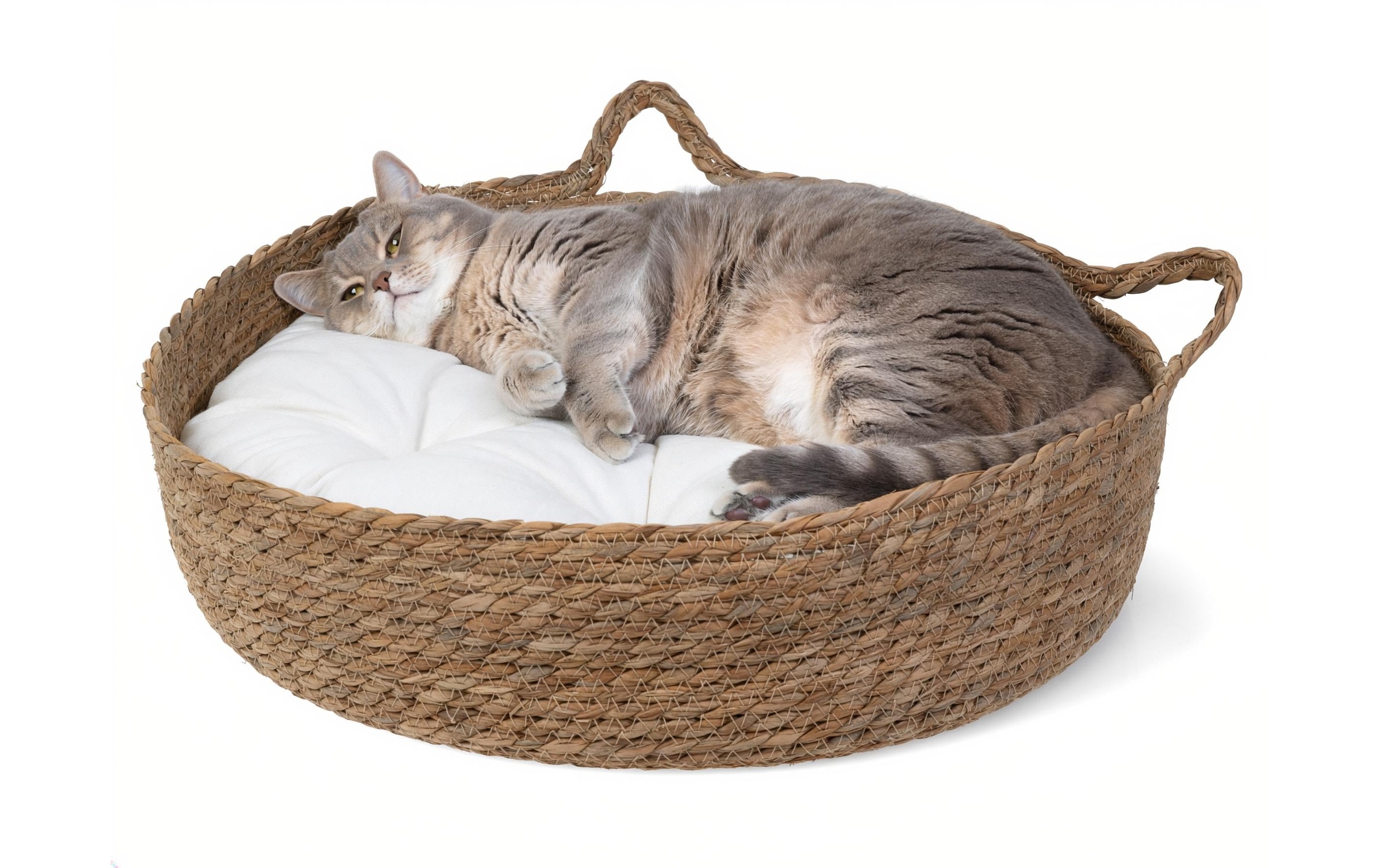   Tierbett »Nize mit Kissen«