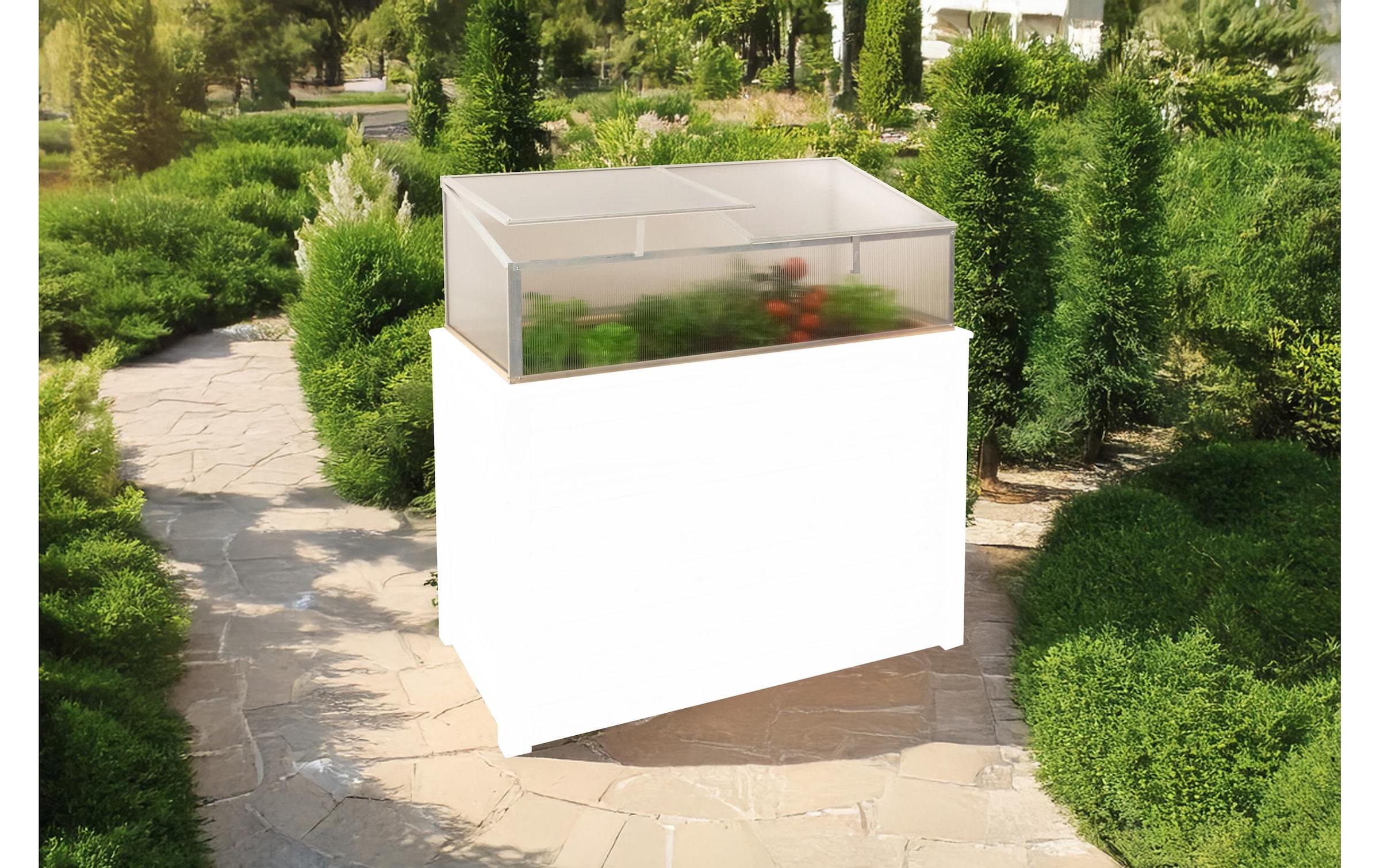 WESTMANN Plateau d'éveil »Genus 100« LxPxH : 95x62x41 cm