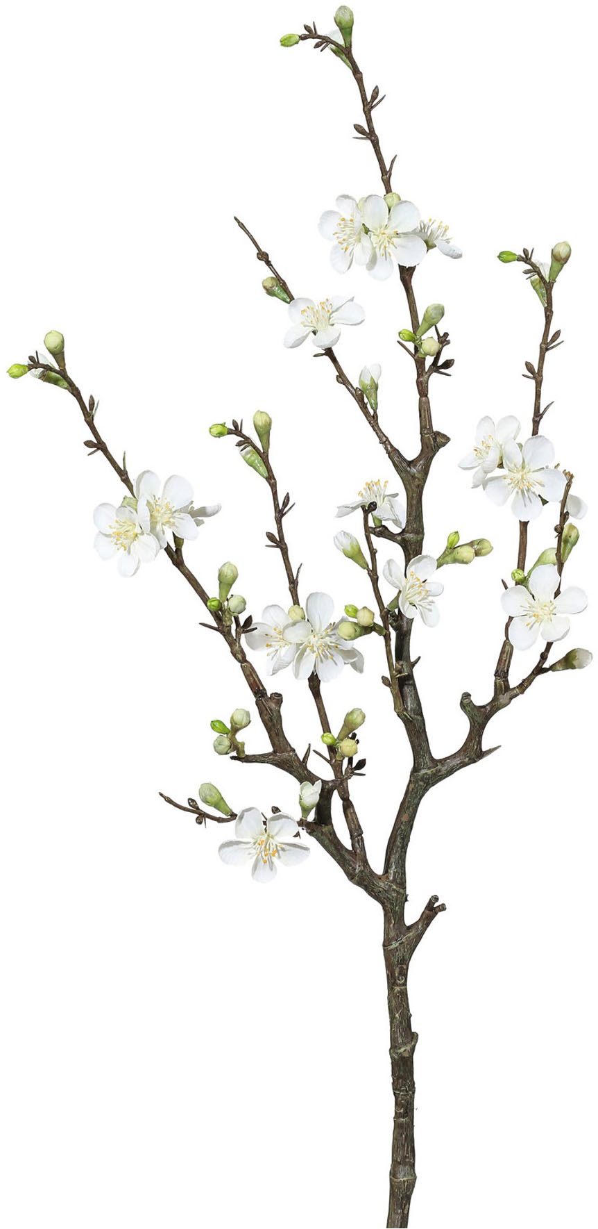 Creativ green Branche artistique »Quittenzweig« mit zarten Blüten