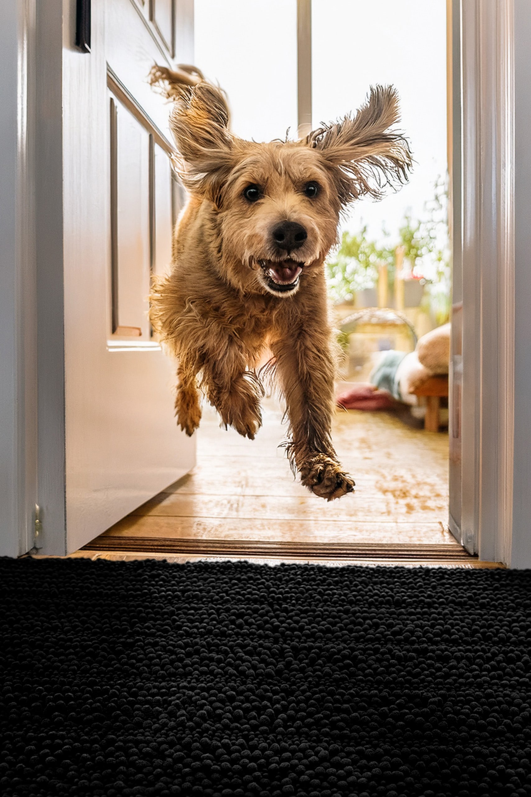 Wecon home Tapis »Cooper« Rectangulaire 22 mm Höhe Haustierteppich, rutschfest, waschbar, weicher Chenille Teppich