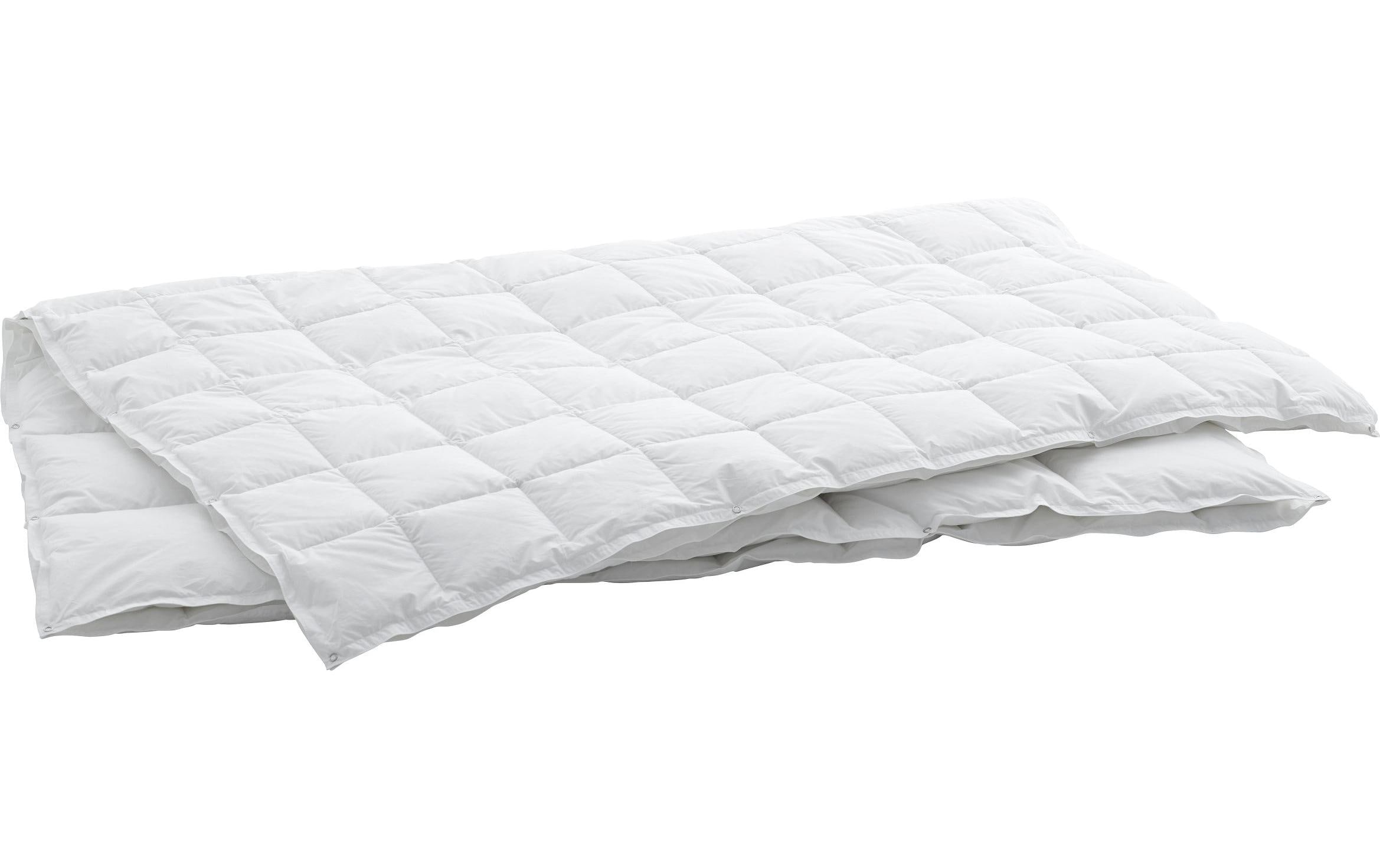 Swiss Dream by billerbeck Couette en duvet »Caro Basic« 1 cuis tlg. 4-Saisons-Daunenduvet