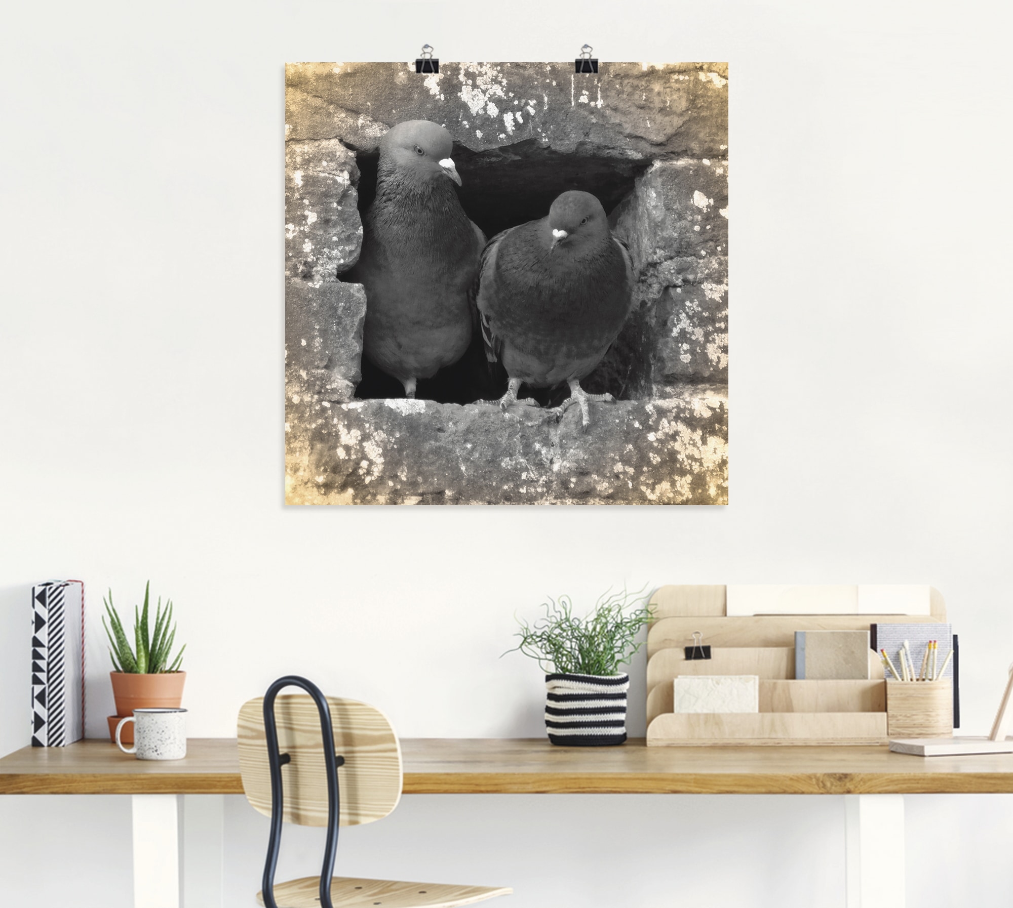 Artland Wandbild »Tauben Liebe« Vögel 1 Stk. tlg. als Alubild, Poster in verschied. Grössen