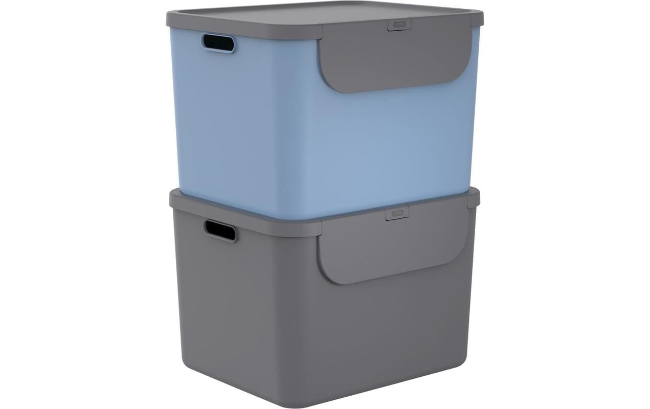 ROTHO Mülleimer »Rotho Recyclingbehälter ALBULA 2 tlg. 110 l« 2 Behälter