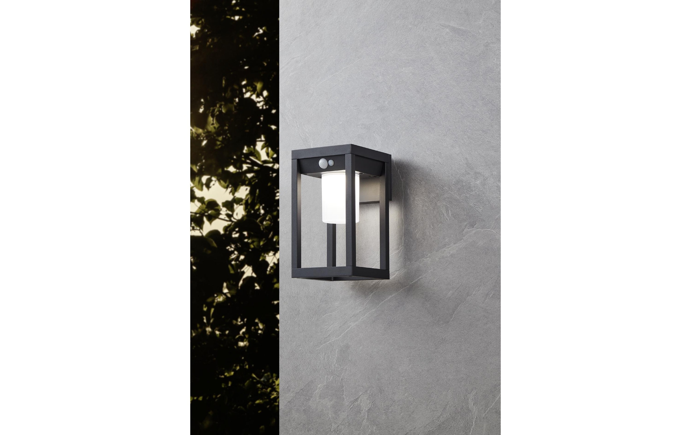 EGLO Applique murale extérieure LED »Martano LED Wandleuchte IP44 Sensor« Module LED blanc neutre