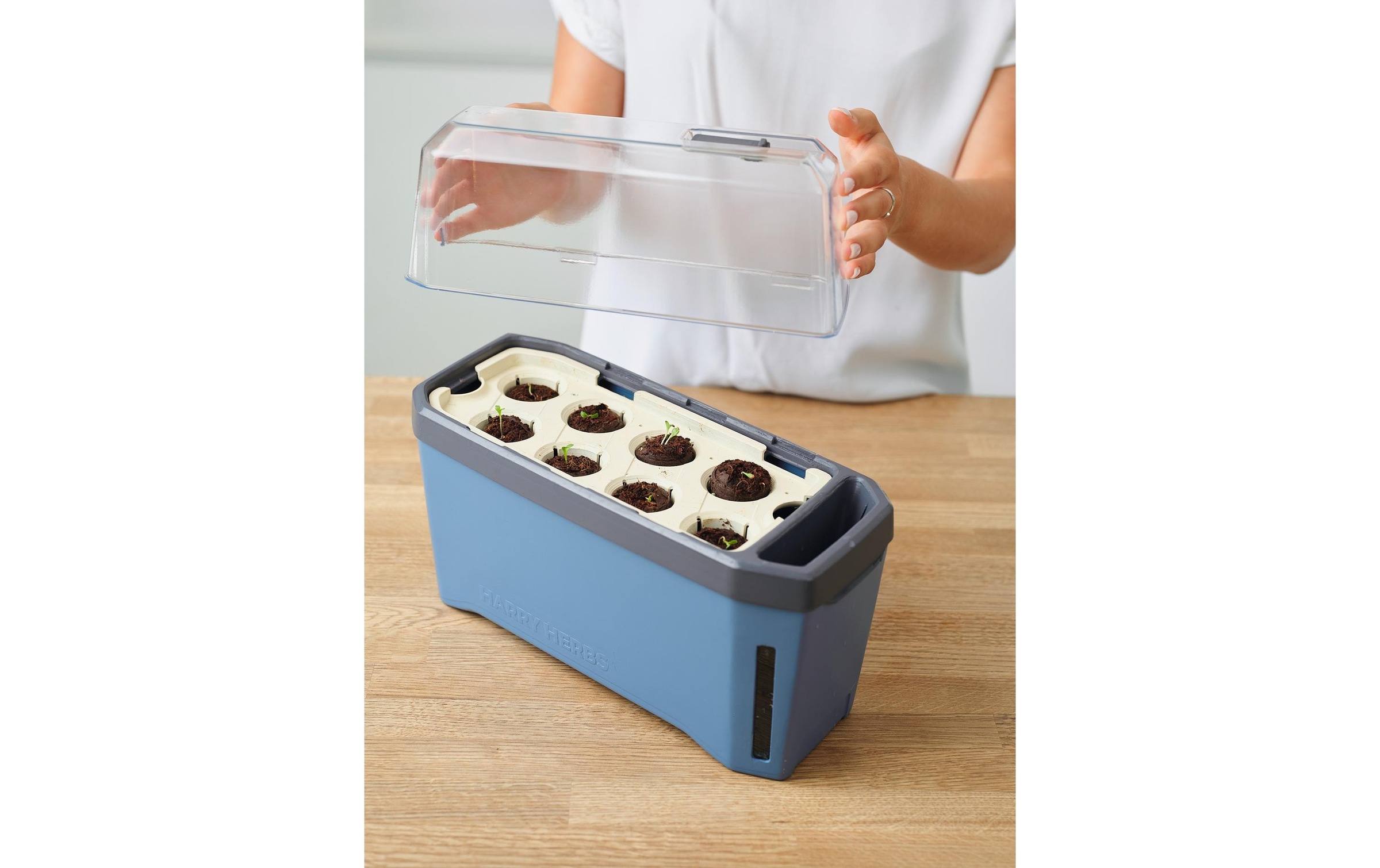 Gusta Garden Kräutertopf »HERBS blau«