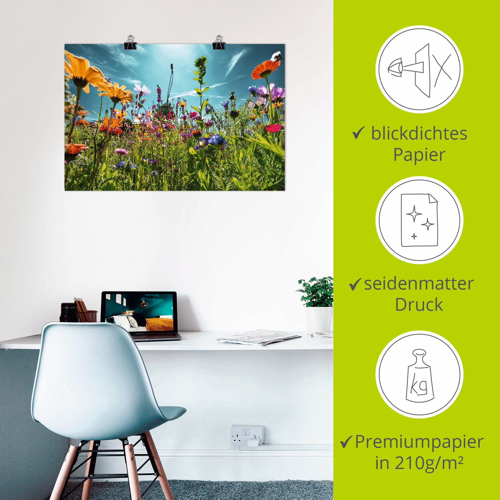 Artland Fresque murale »Buntes Blumenfeld« 1 cuis tlg. als Alubild, Leinwandbild, Poster in verschied. Grössen