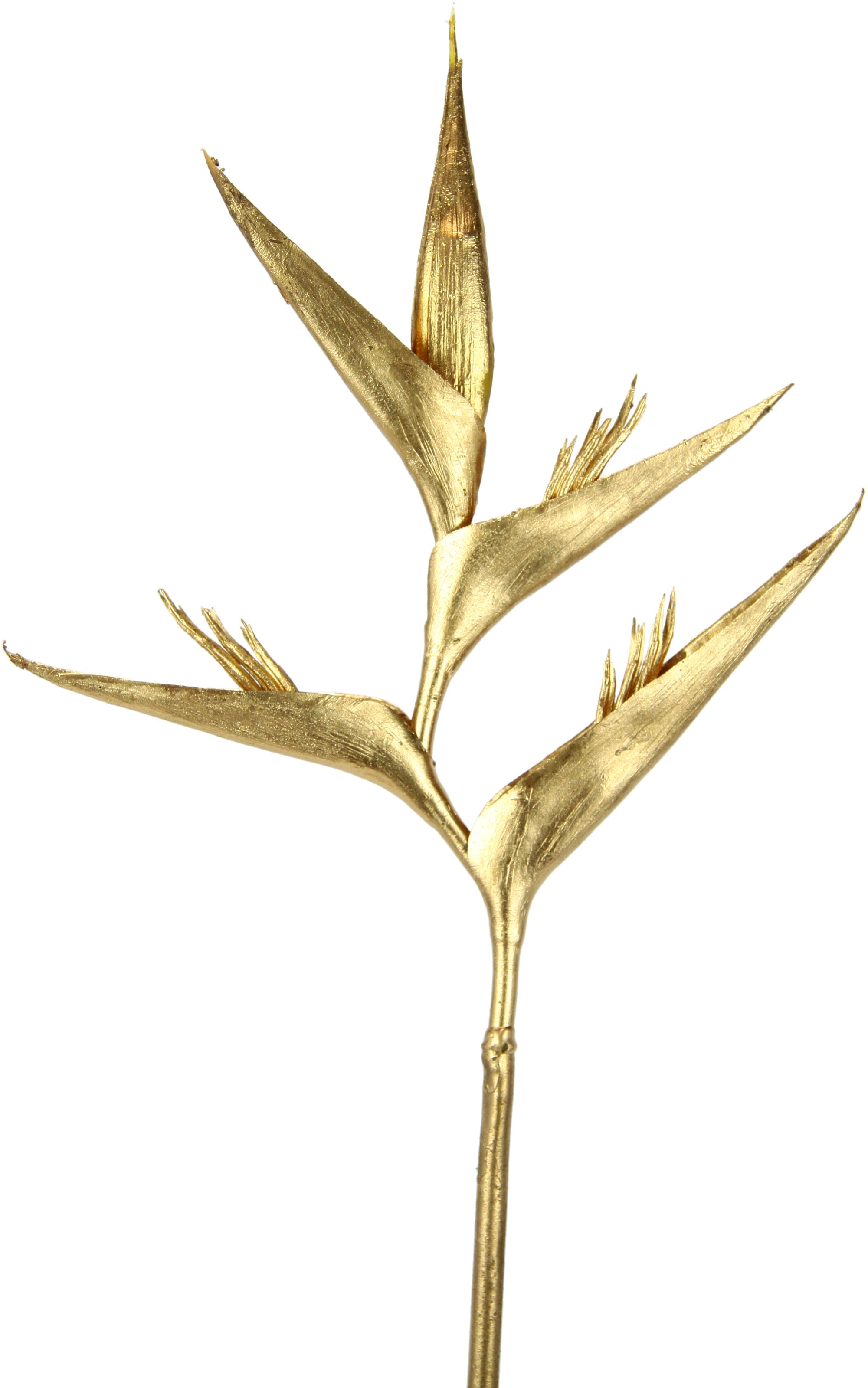 I.GE.A. Fleur artificielle »Heliconia« Exotischer Dekozweig,Tropische Blume, 3er Set