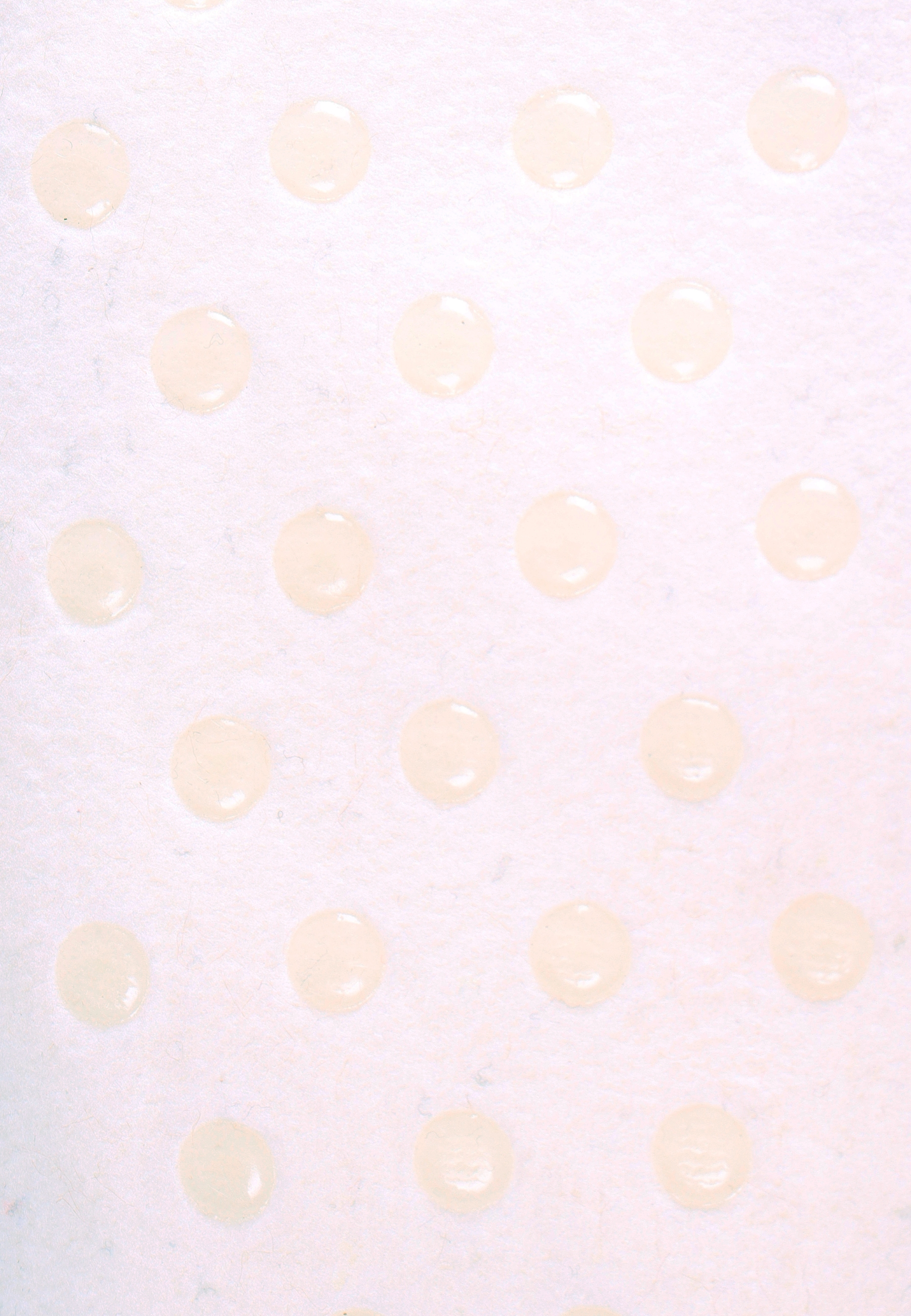 Capelli New York Chaussettes 1 Paar, 1 cuis tlg. mit rutschhemmender Sohle