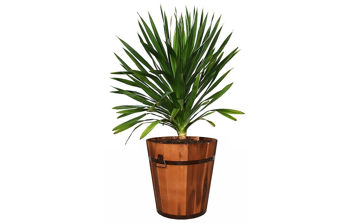 Innovesta Bac à plantes »Ø 45 x 44 cm«