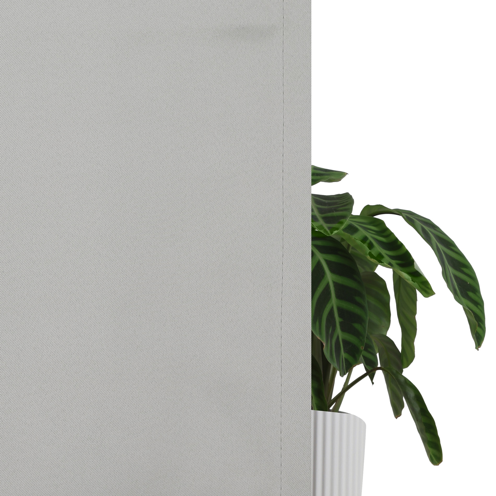 Bruno Banani Verdunkelungsvorhang »Clemton« Ösen 1 Stk. tlg. Verdunkelung, Schutz, Privatsphäre, blickdichter Vorhang,