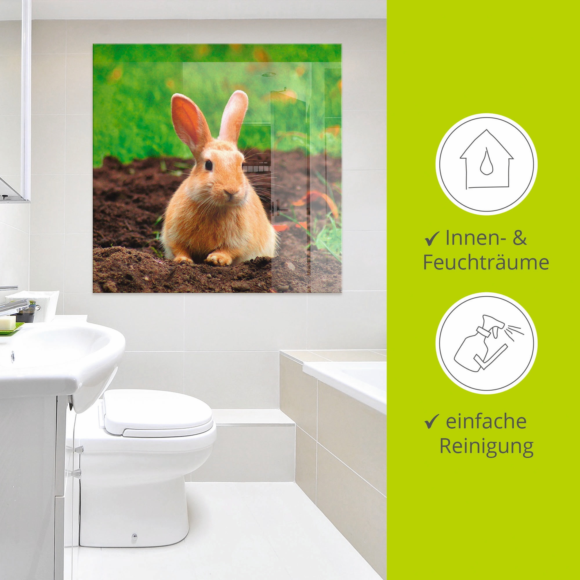 Artland Glasbild »Glückliches Zwergkaninchen« Wildtiere 1 Stk. tlg. in verschiedenen Grössen