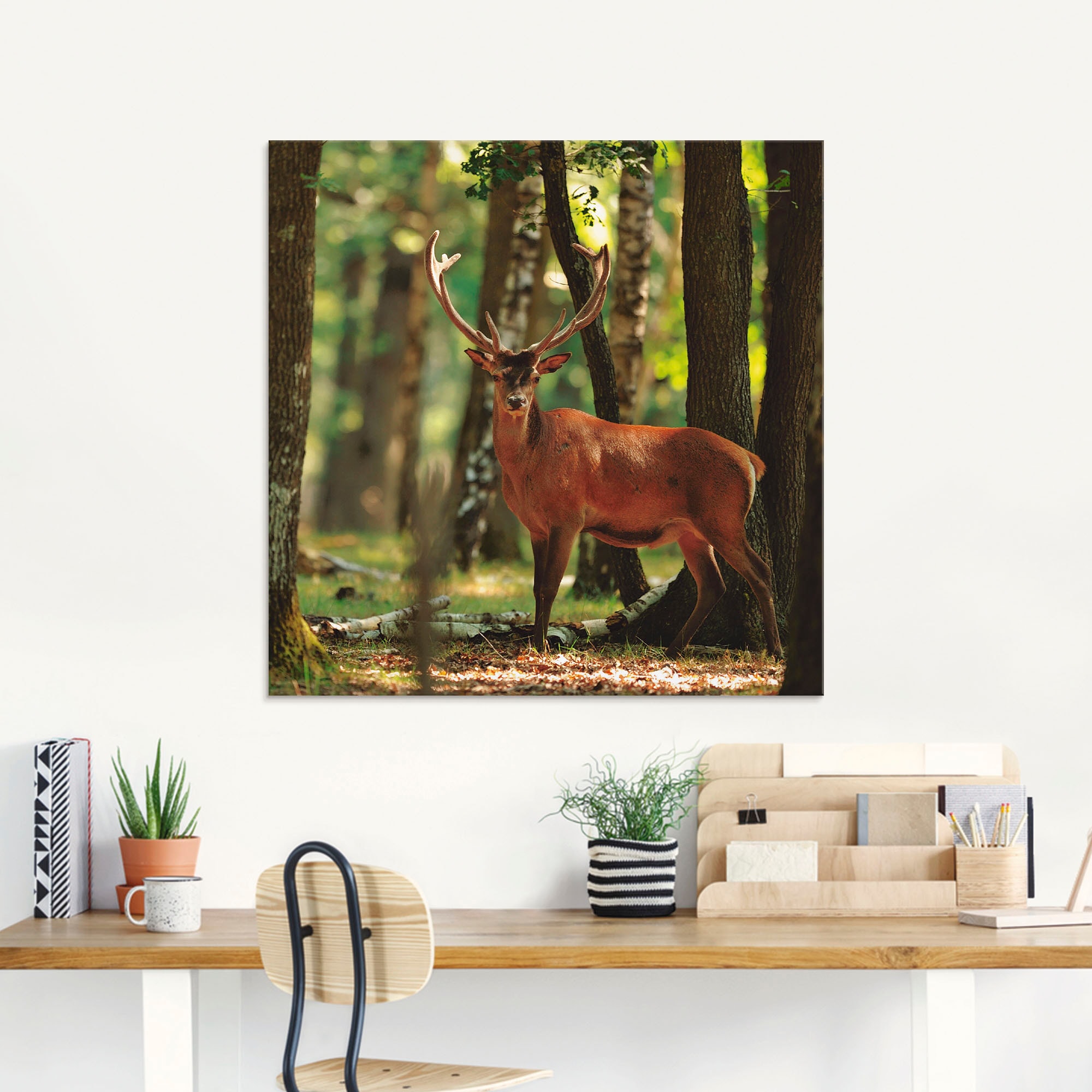 Artland Glasbild »Hirsch 4 - Wald« Wildtiere 1 Stk. tlg. in verschiedenen Grössen