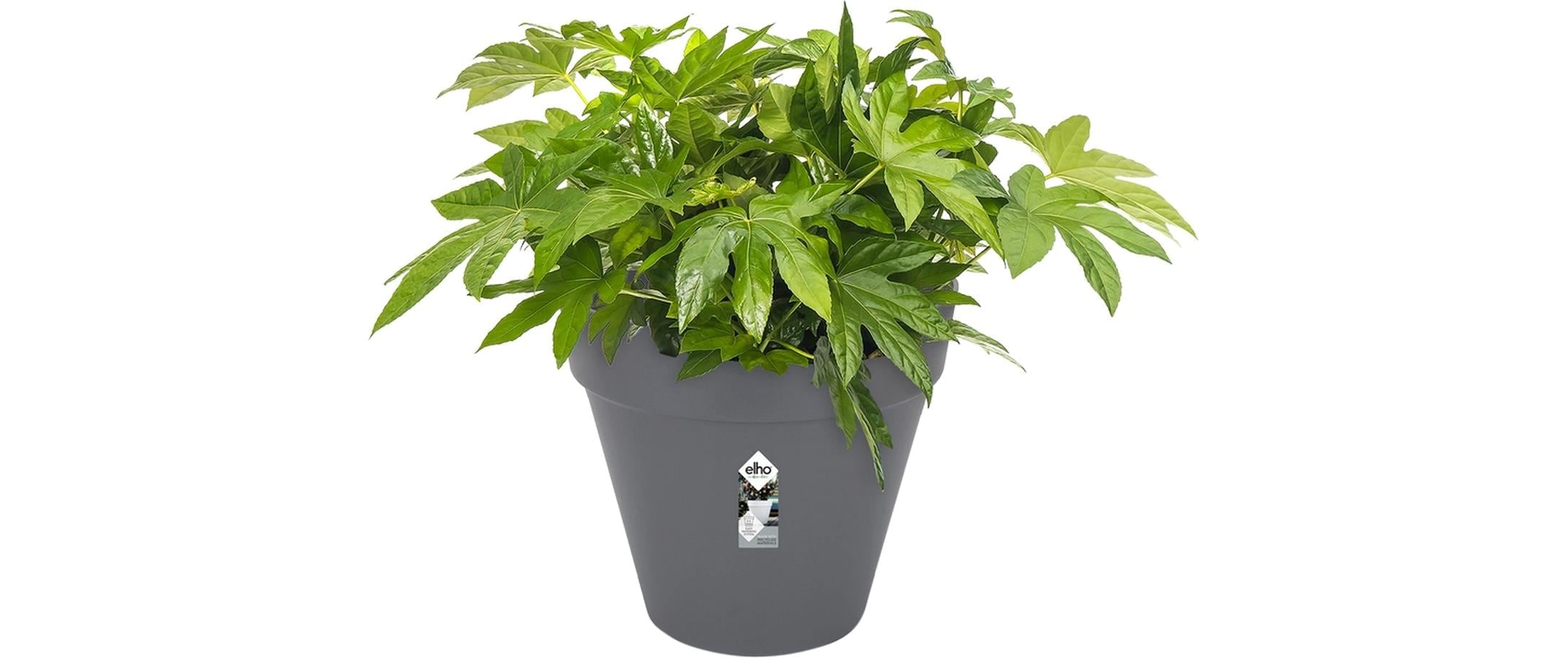 Elho Pot de fleurs »Loft Urban Rund Rollen 50 cm«