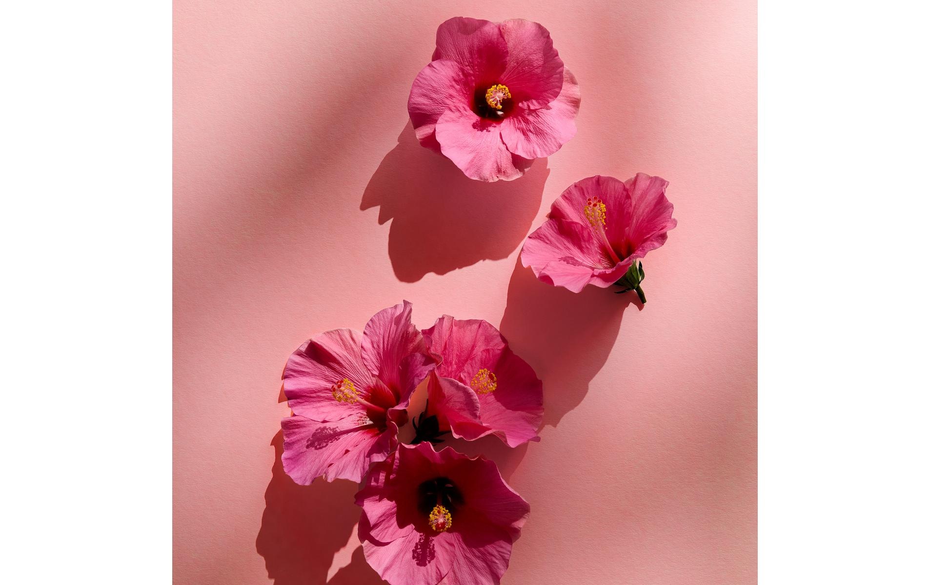 Nivea Pflege-Set »Geschenkset Rose Love 4-teilig«