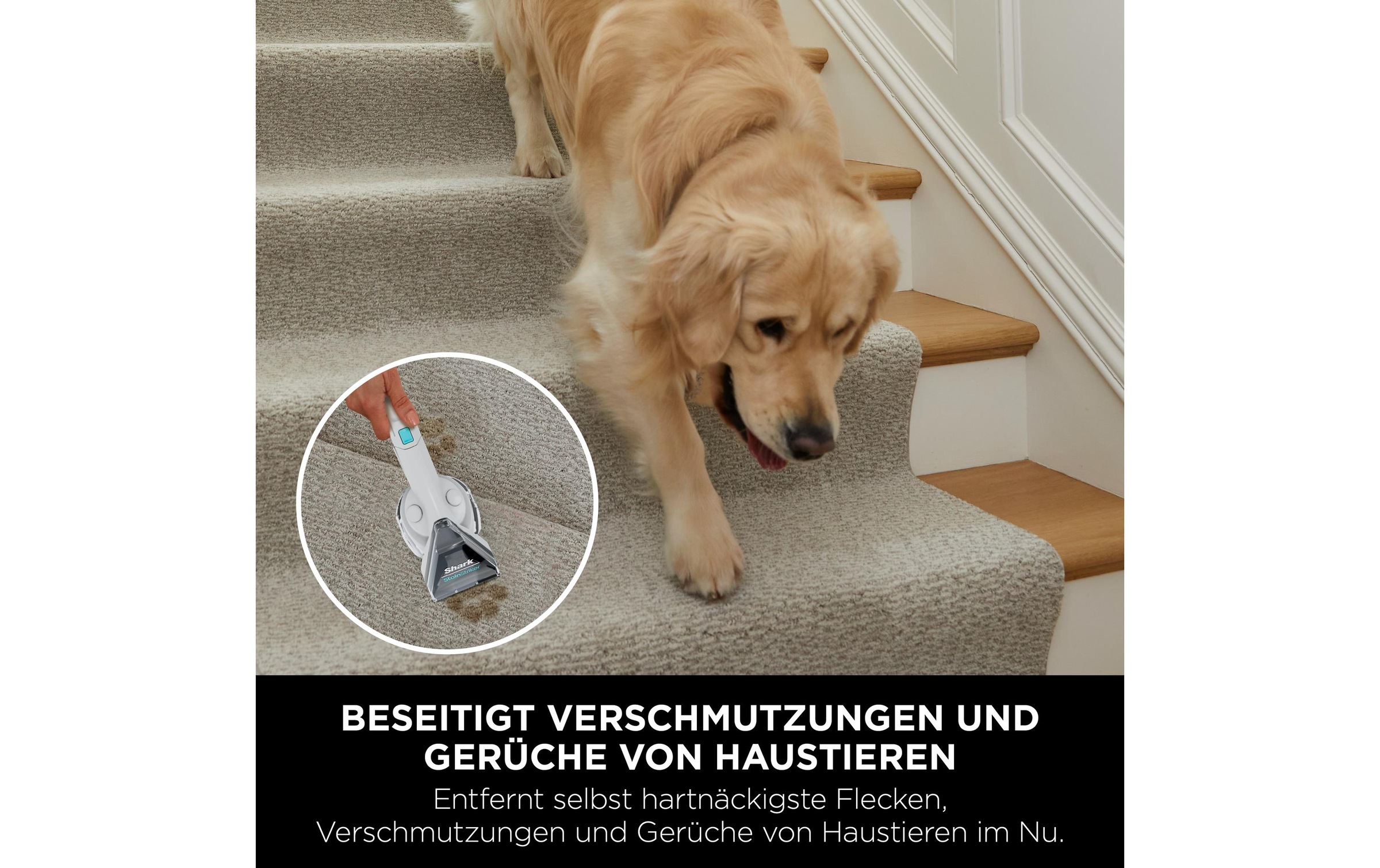 Shark Lave-linge-aspirateur »StainStriker Fleckenentferner PX200EUT«