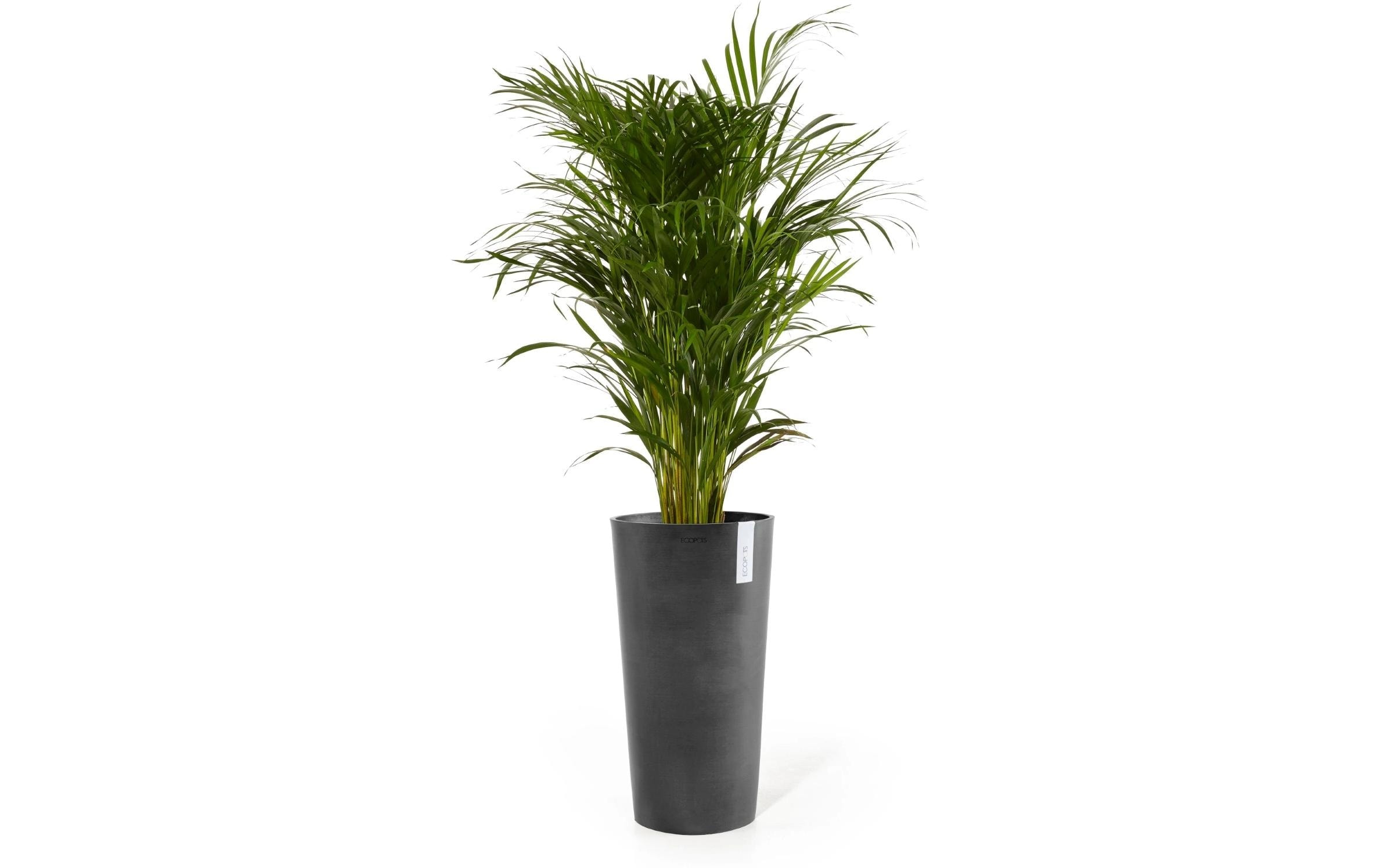 ECOPOTS Blumentopf »Amsterdam High Ø 76 cm«