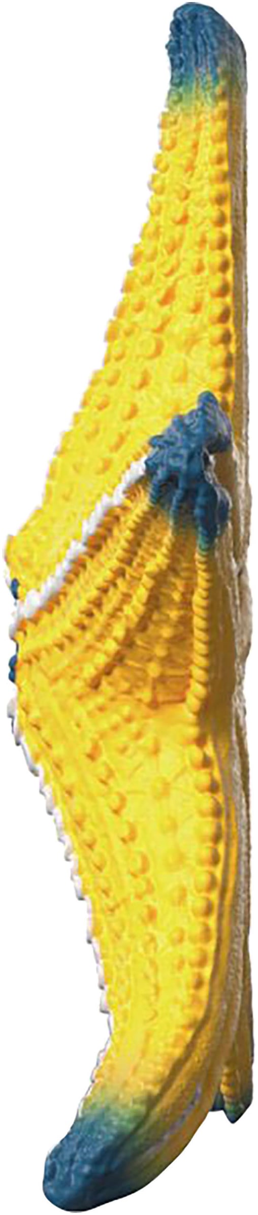 Schleich® Personnage de jeu »WILD LIFE, Seestern (14902)« mit Farbwechsel