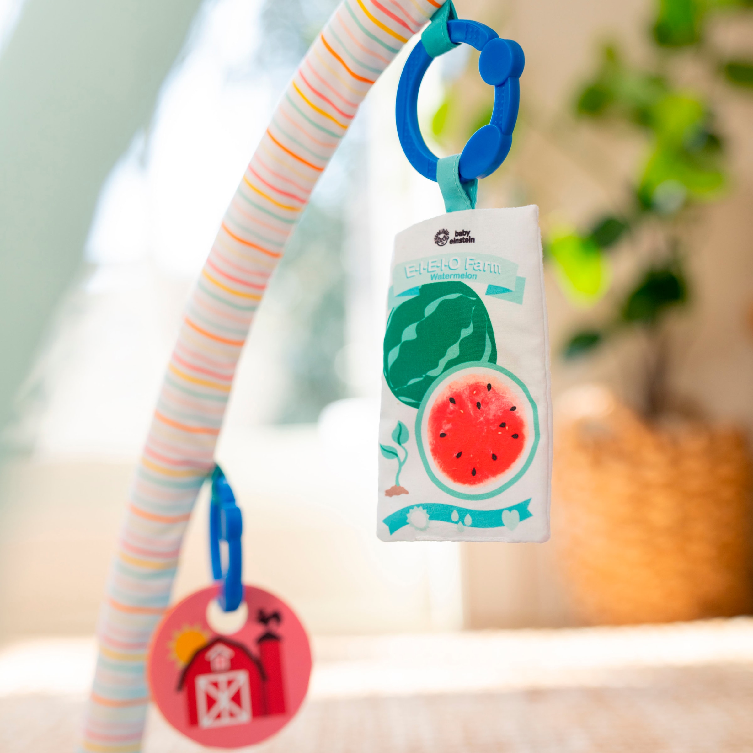 Baby Einstein Spielbogen »Happy Harvest Touch & Feel Activity Gym« mit Soundeffekt