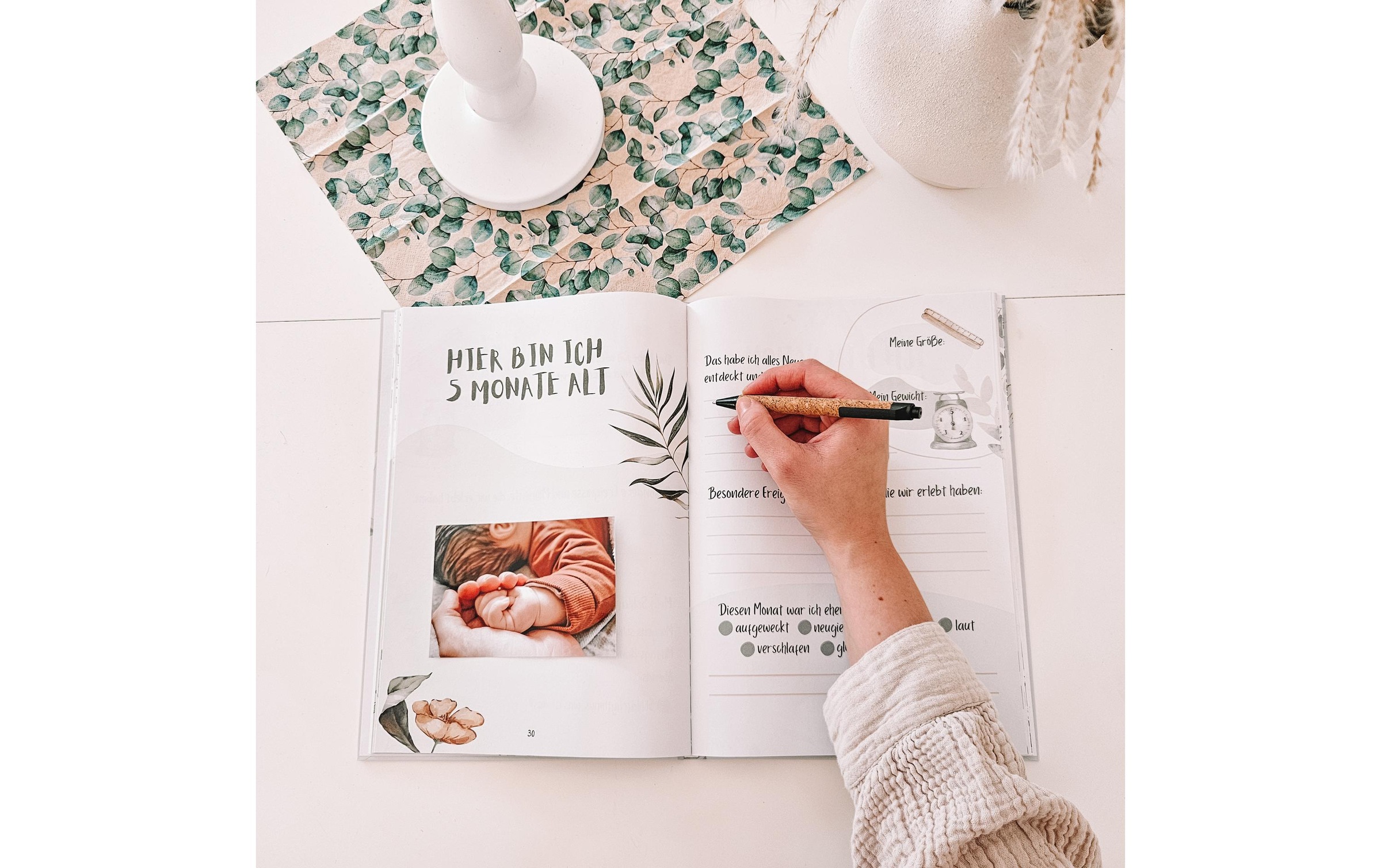   Buch »Eulentaler Pflanzen«