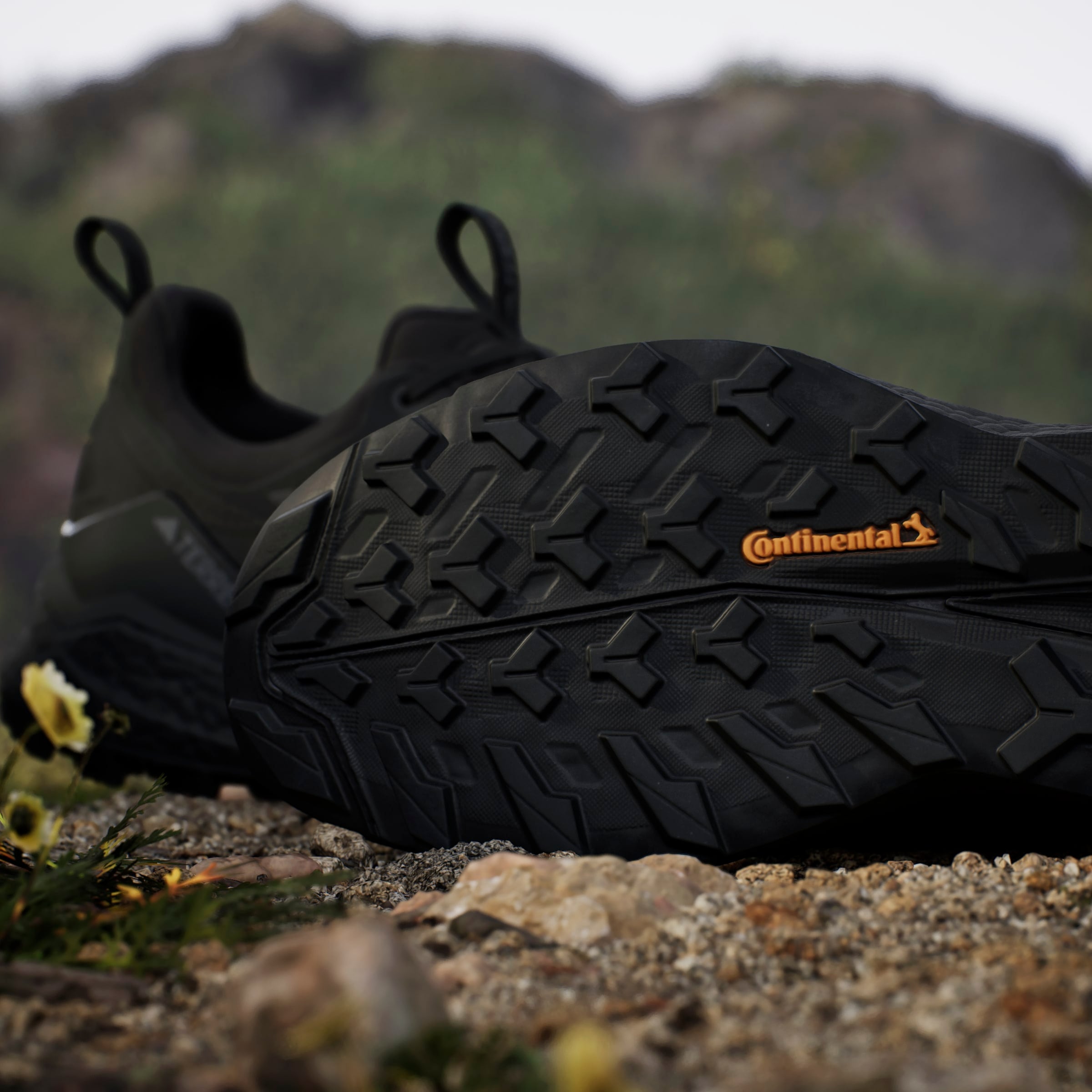 adidas TERREX Wanderschuh »TERREX FREE HIKER 2.0 LOW GORE-TEX«  wasserdicht