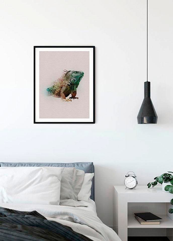 Komar Image »Animals Paradise Iguana« 1 cuis tlg. Wandbild zur Dekoration - ohne Rahmen