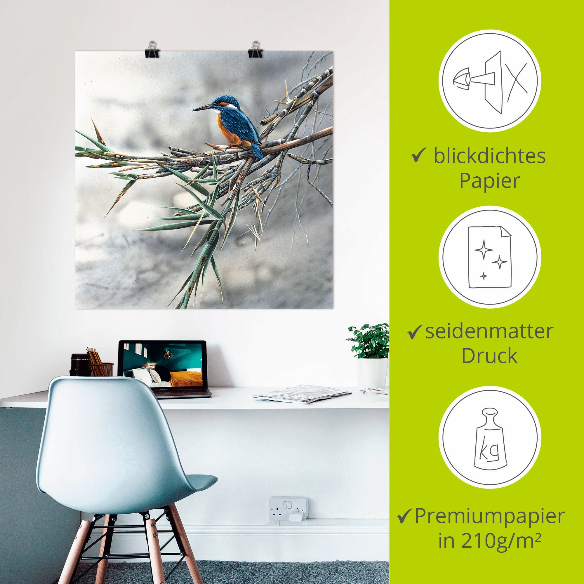 Artland Wandbild »Eisvogel I« Vögel 1 Stk. tlg. als Leinwandbild, Poster in verschied. Grössen