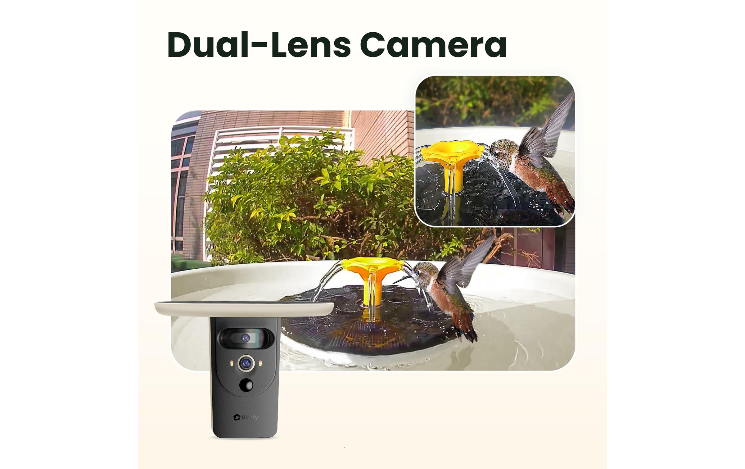 Birdfy Mangeoire pour oiseaux »Vogelbad mit Kamera« Solarbetrieben, KI und Video Vogelerkennung