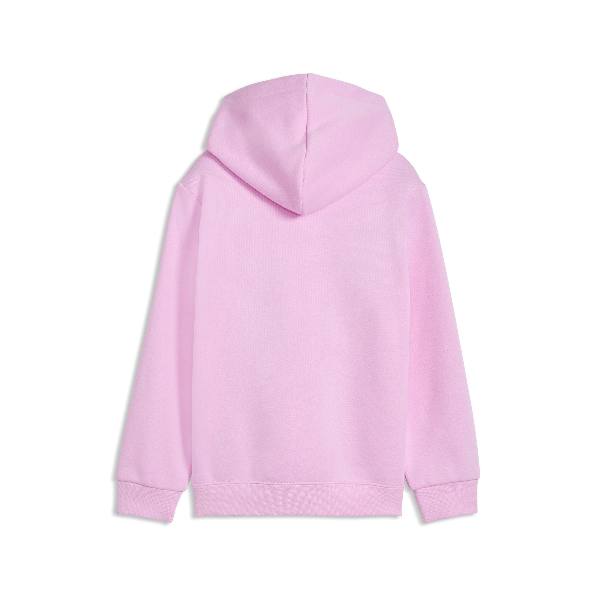 PUMA Kapuzensweatshirt »ESS NO. 1 LOGO HOODIE FL PS«, mit Kapuze, mit gerippten Bündchen, mit Jerseyfutter

