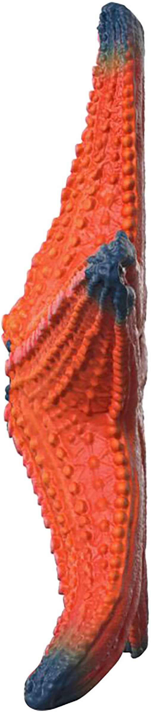 Schleich® Personnage de jeu »WILD LIFE, Seestern (14902)« mit Farbwechsel