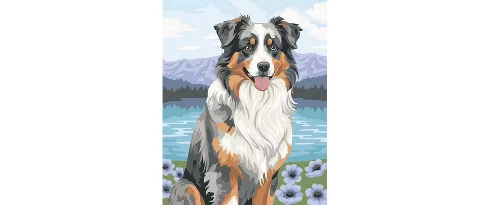 Ravensburger Malen nach Zahlen »Australian Shepherd Merlin 400 x 500 mm«
