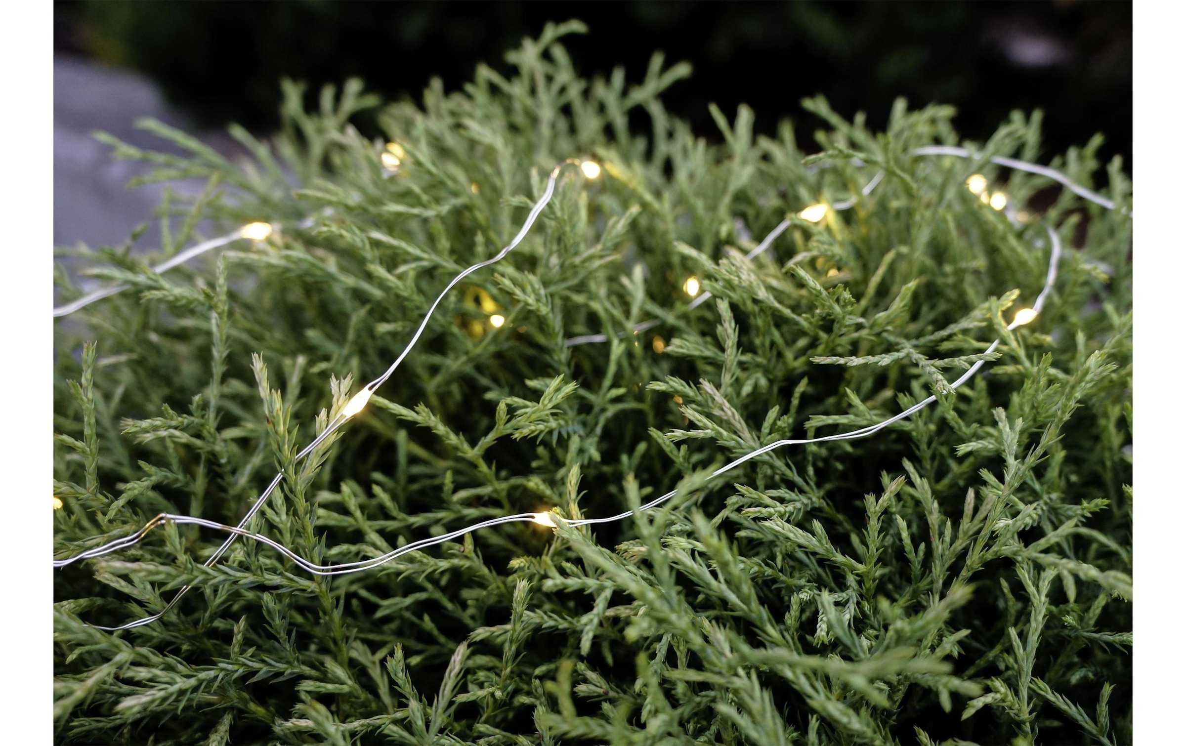 STT LED-Lichterkette »Angel Hair Bouquet 0.6 m 36«