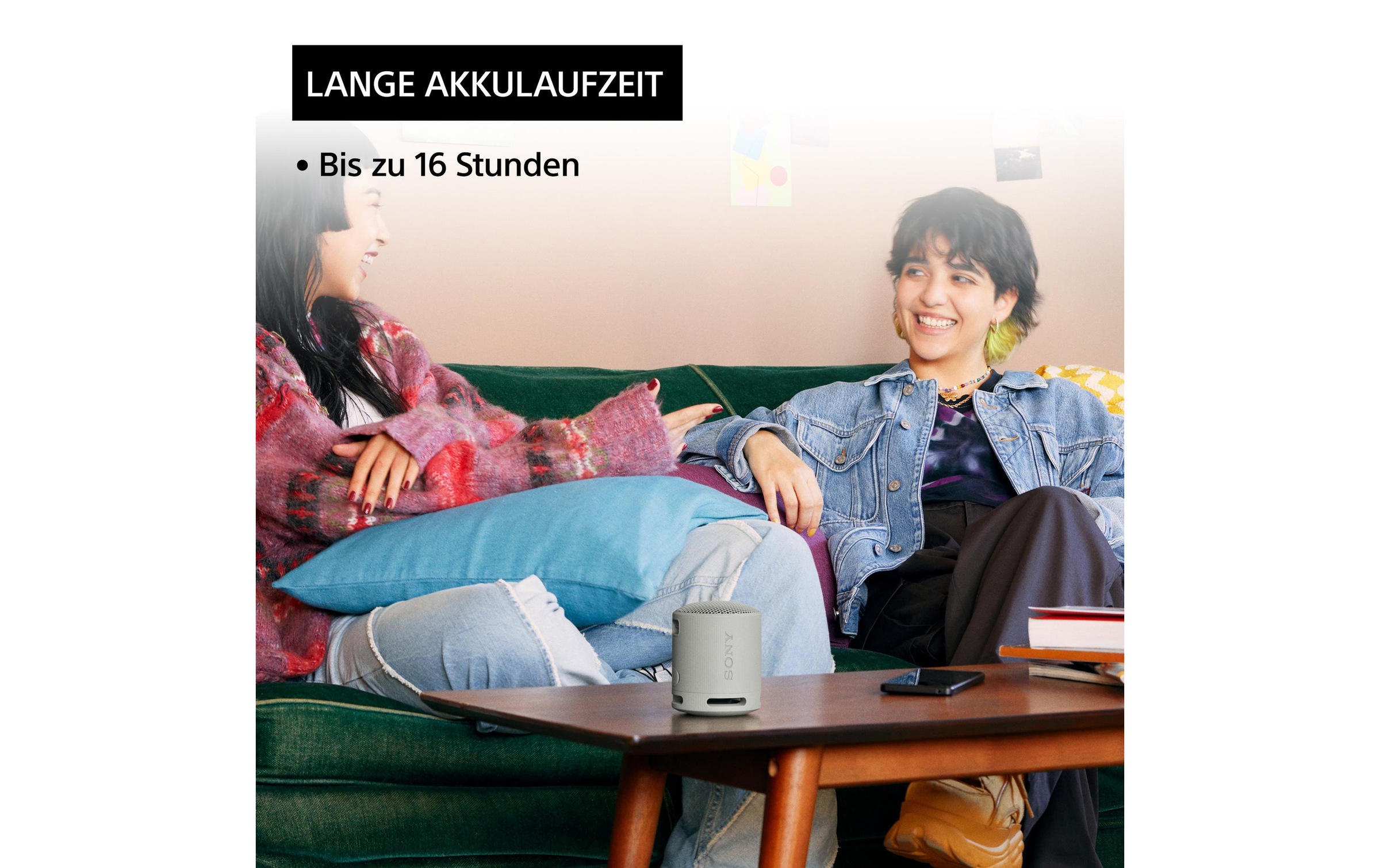 Sony Bluetooth-Speaker (Bluetooth )