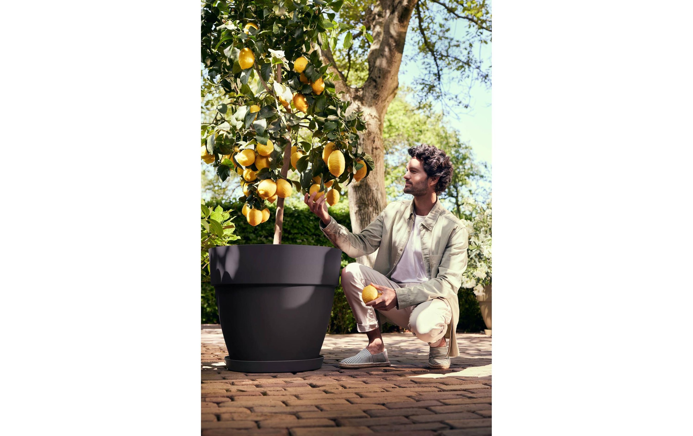 Elho Pot de fleurs »Vibia Campana Rund 65 cm«