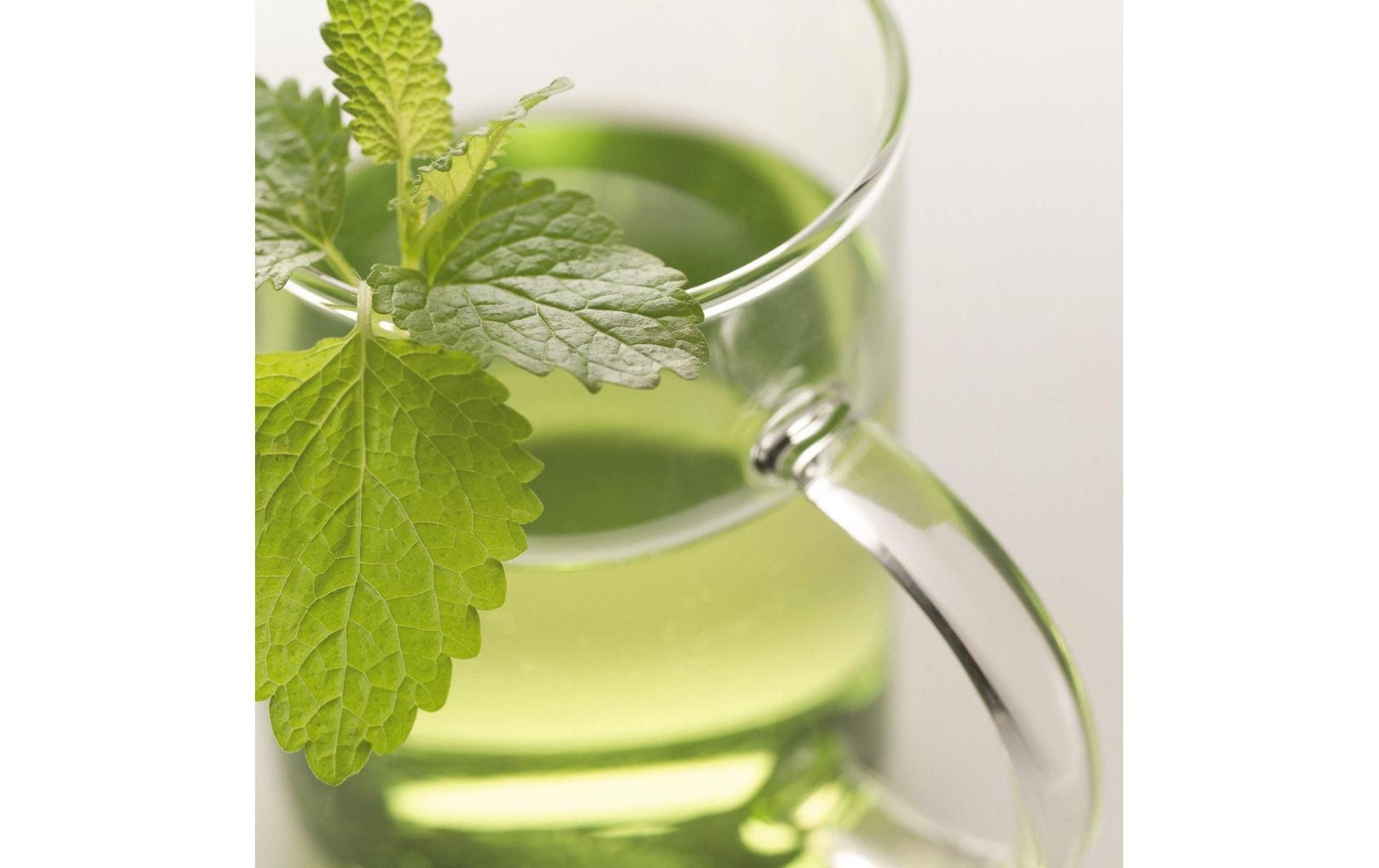 LEONARDO Tasse »Leonardo Novo 360 ml«