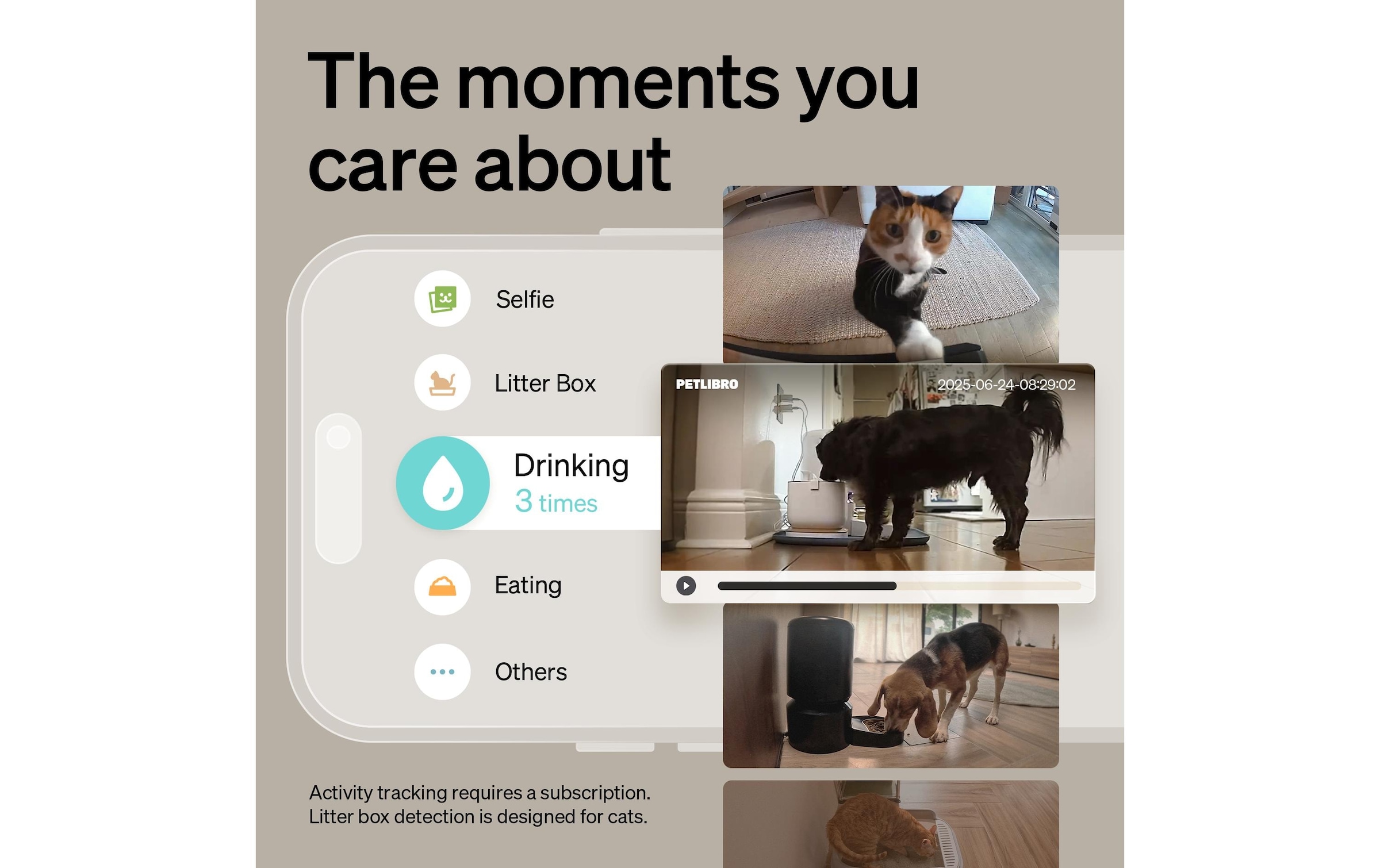   Überwachungskamera »Petlibro Scout Smart AI Camera mit App«