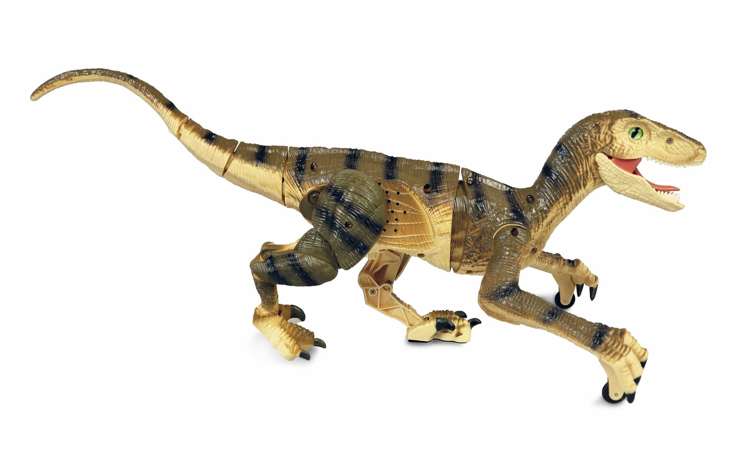 Amewi Voiture RC »Dinosaurier Velociraptor«