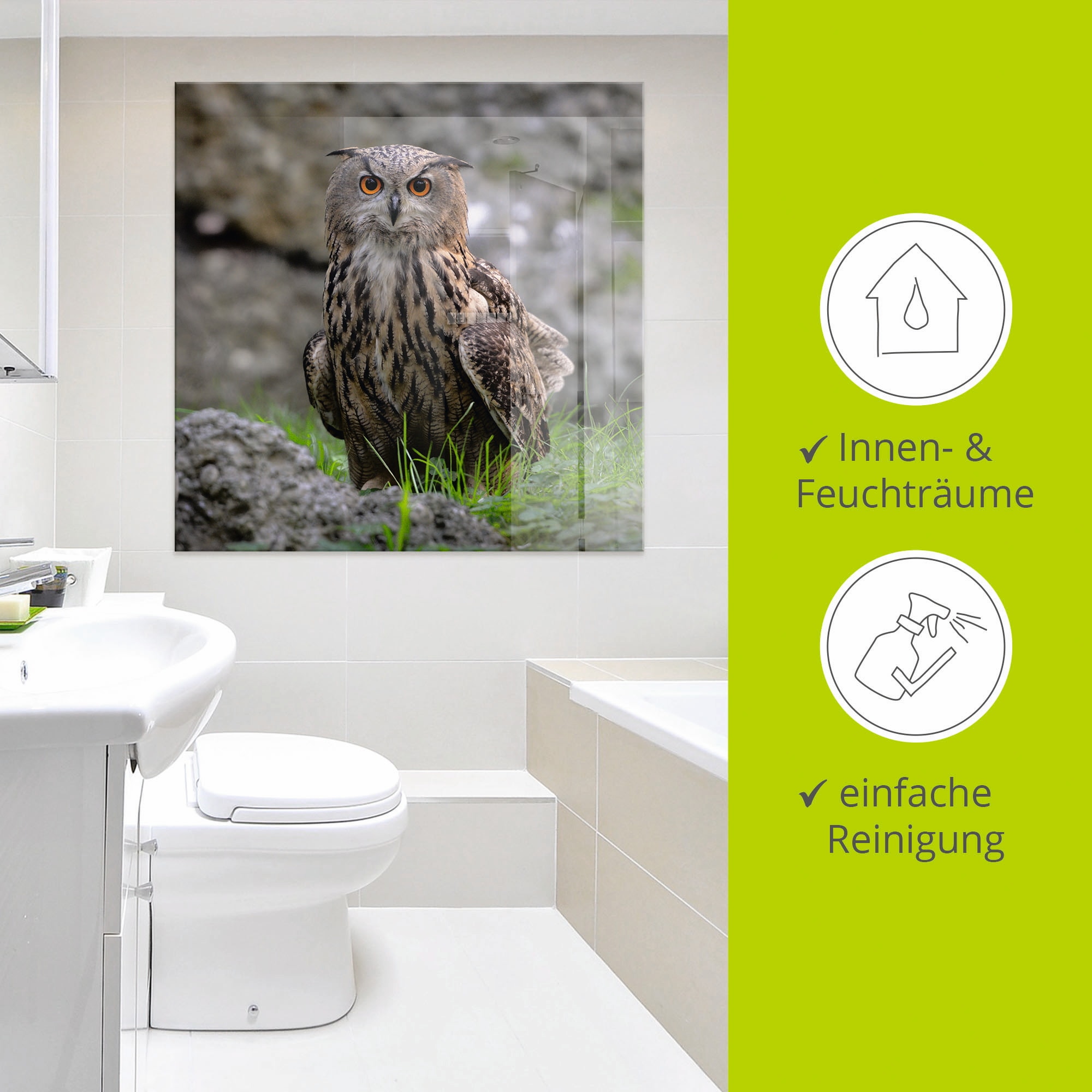 Artland Glasbild »Uhu« Vögel 1 Stk. tlg. in verschiedenen Grössen